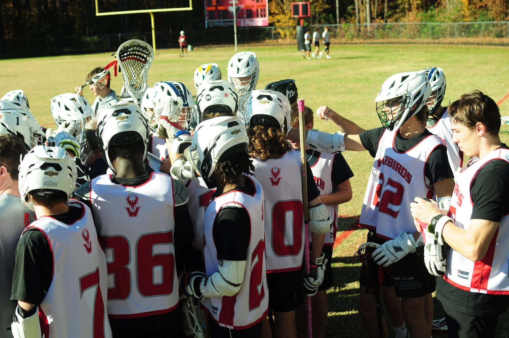 YpNIb61oQcuCaI-NYK_xvw.jfif