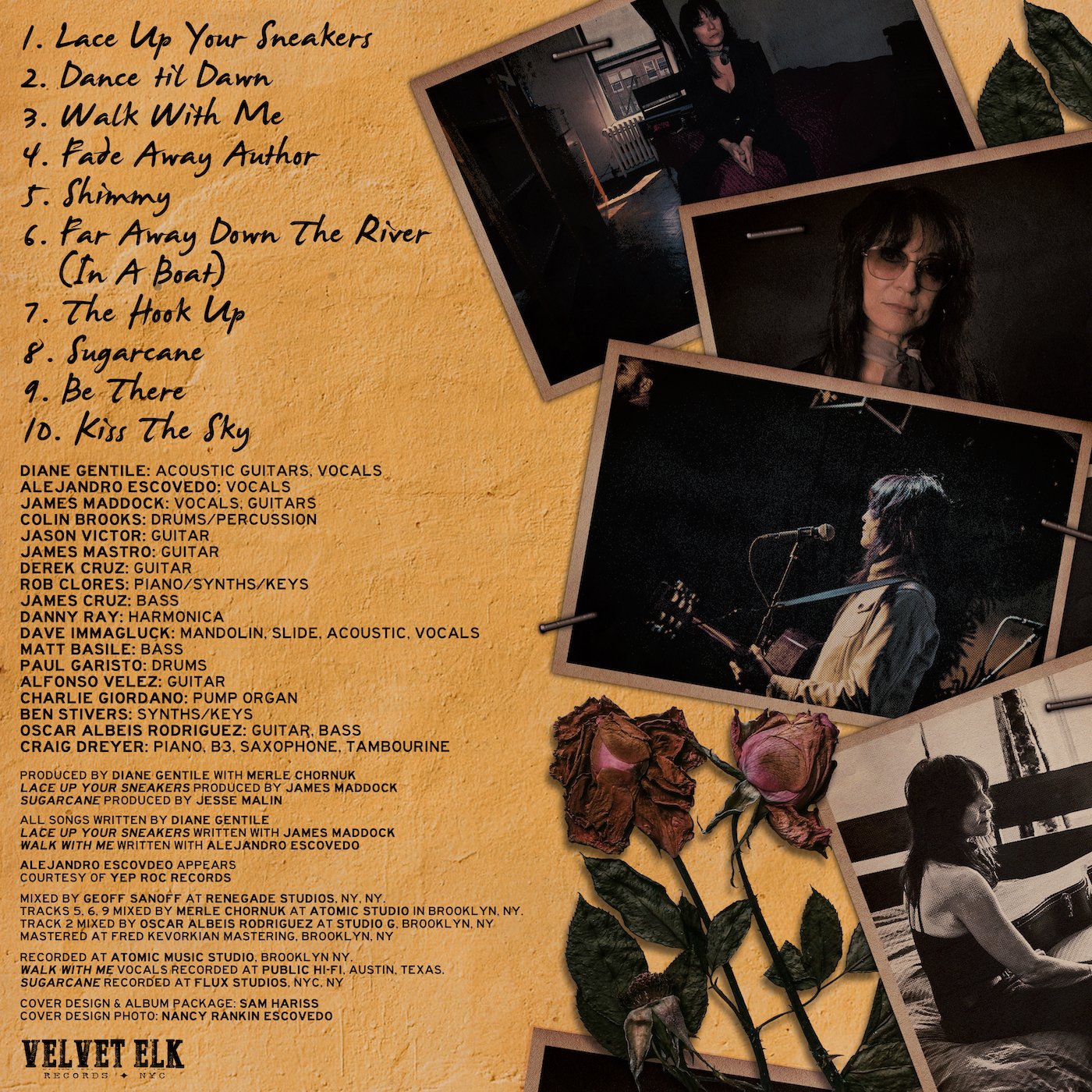 BACK COVER 1400 small.jpg