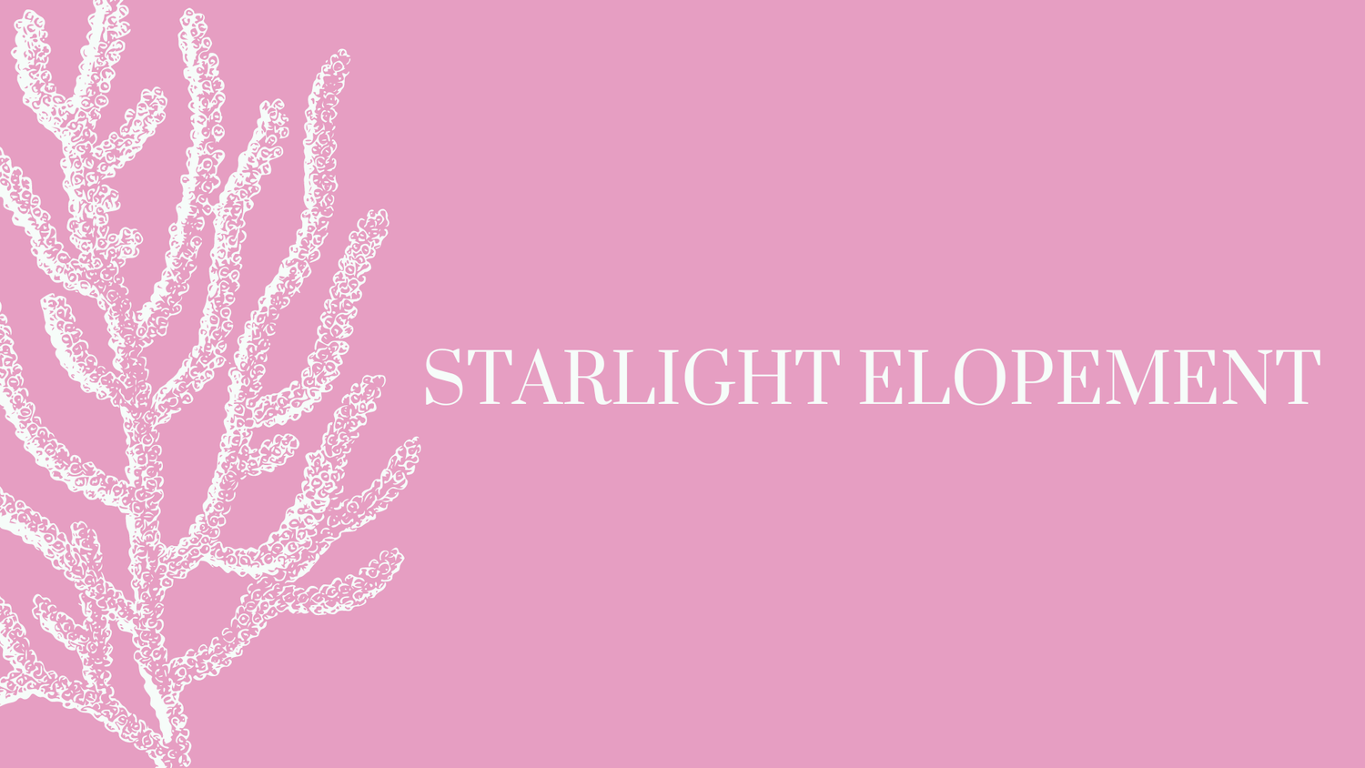 Starlight Elopement
