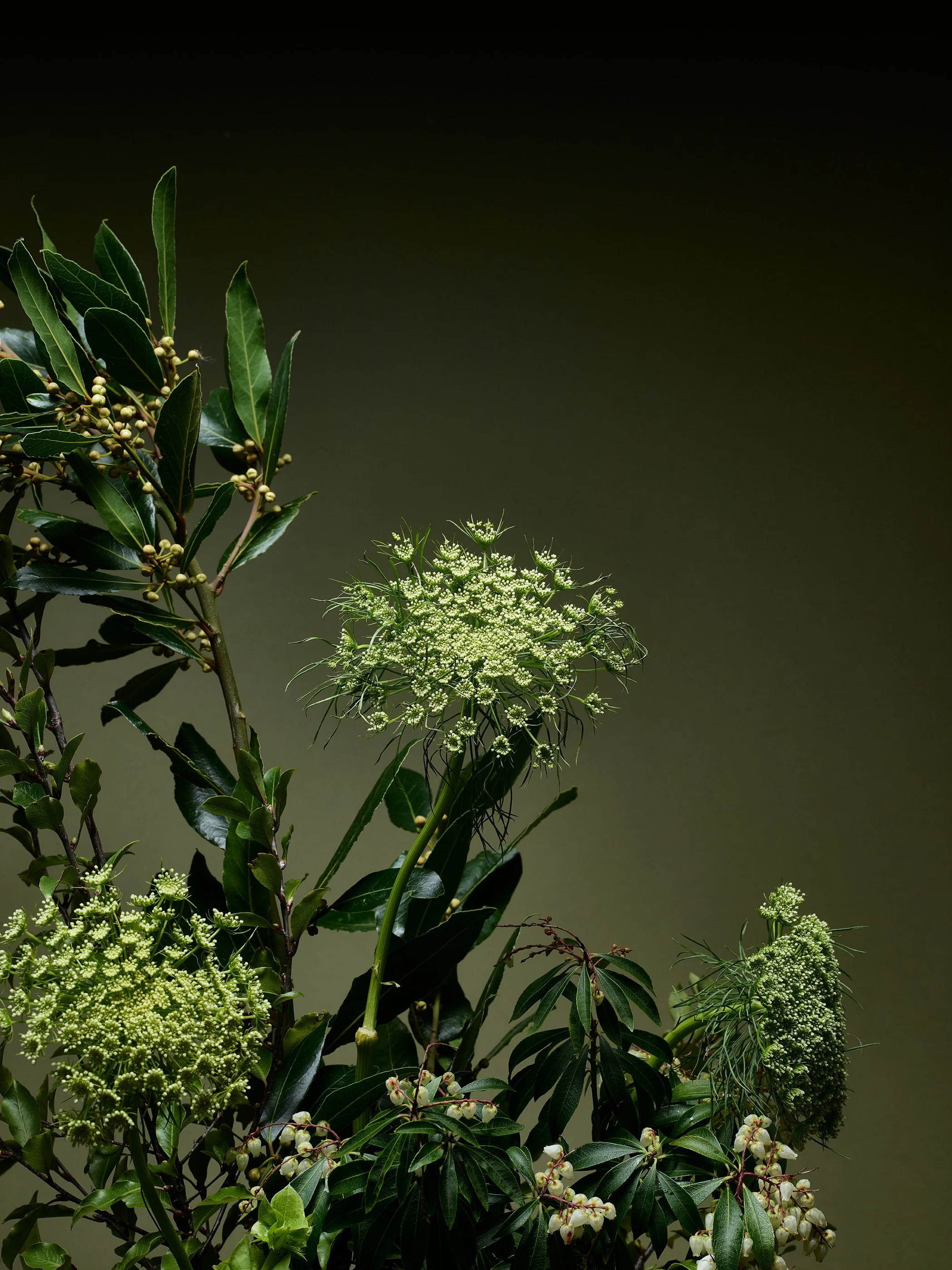 Floral_87679.jpg