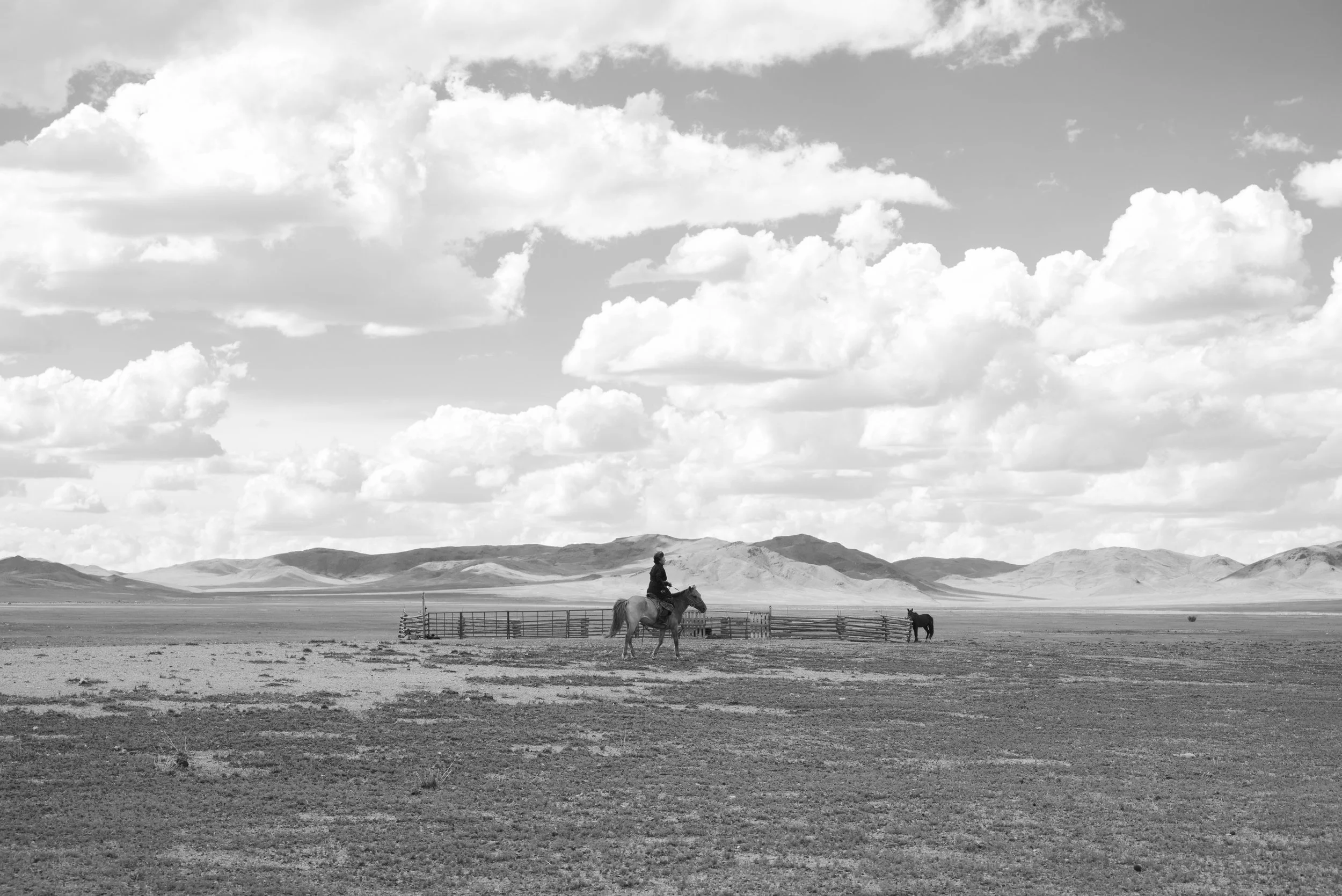 Leonard_Landscape1_4.jpg