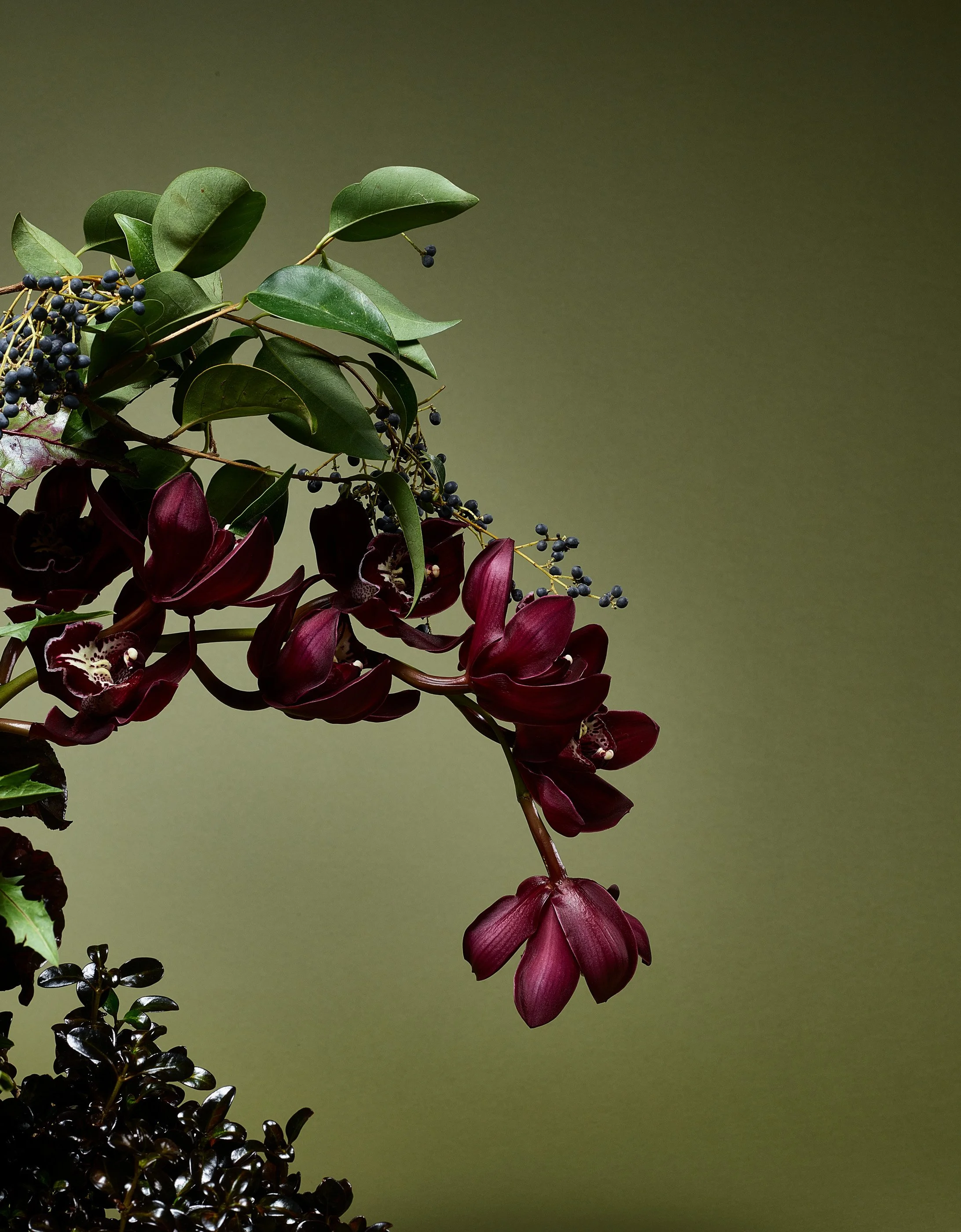 Floral_87744 1.jpg