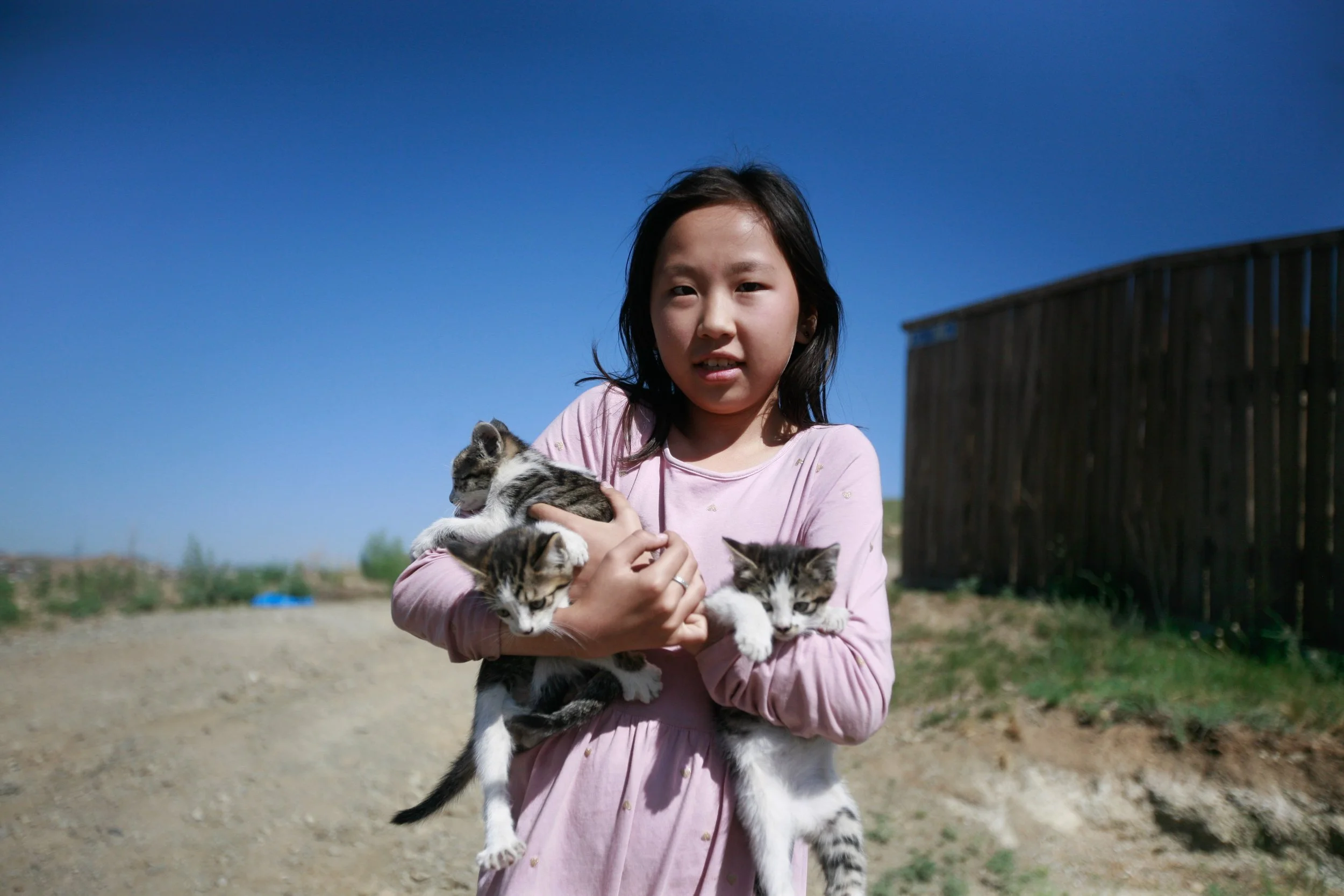 Sofia_GirlCats.jpg