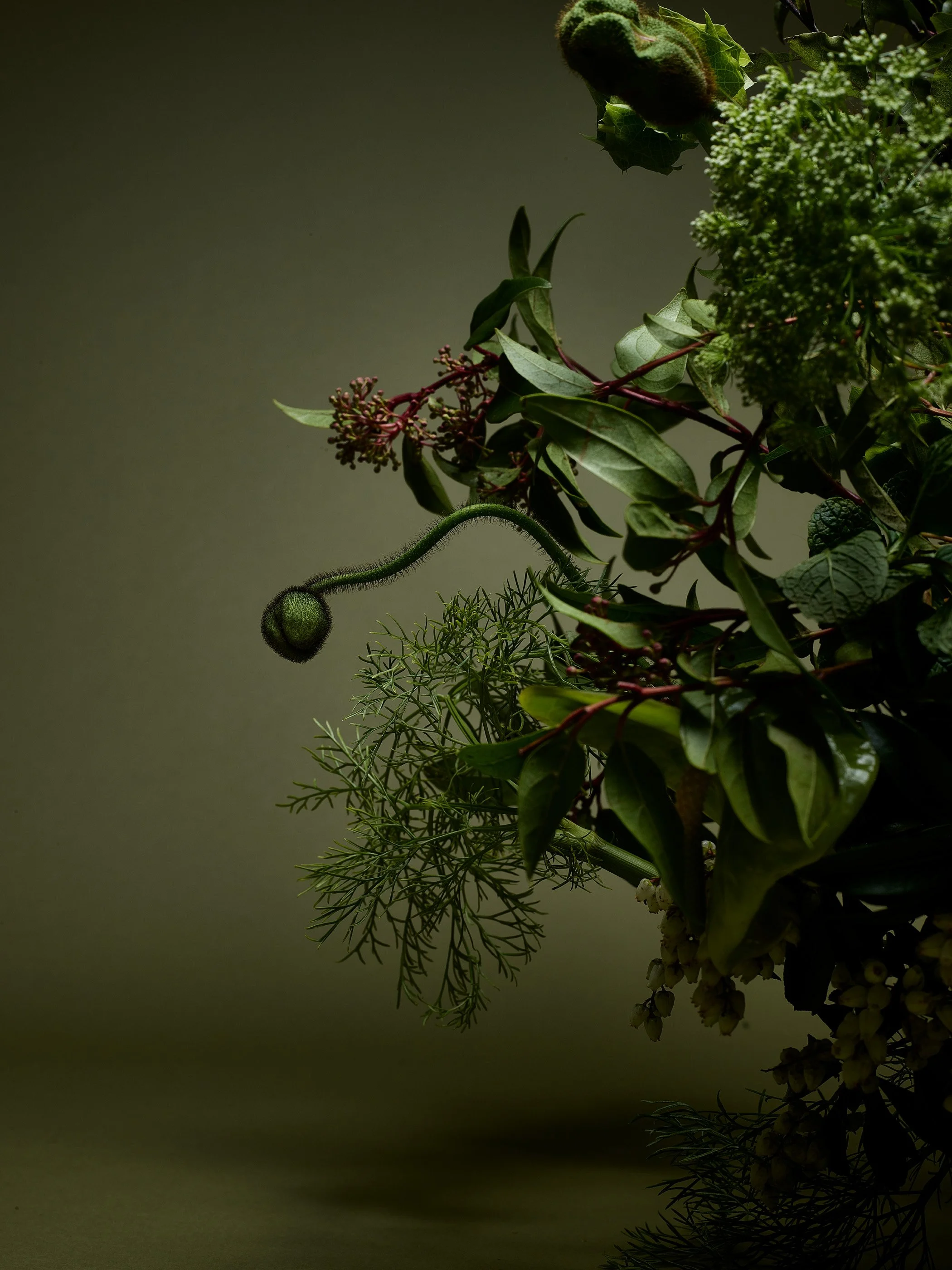 Floral_87691 1.jpg