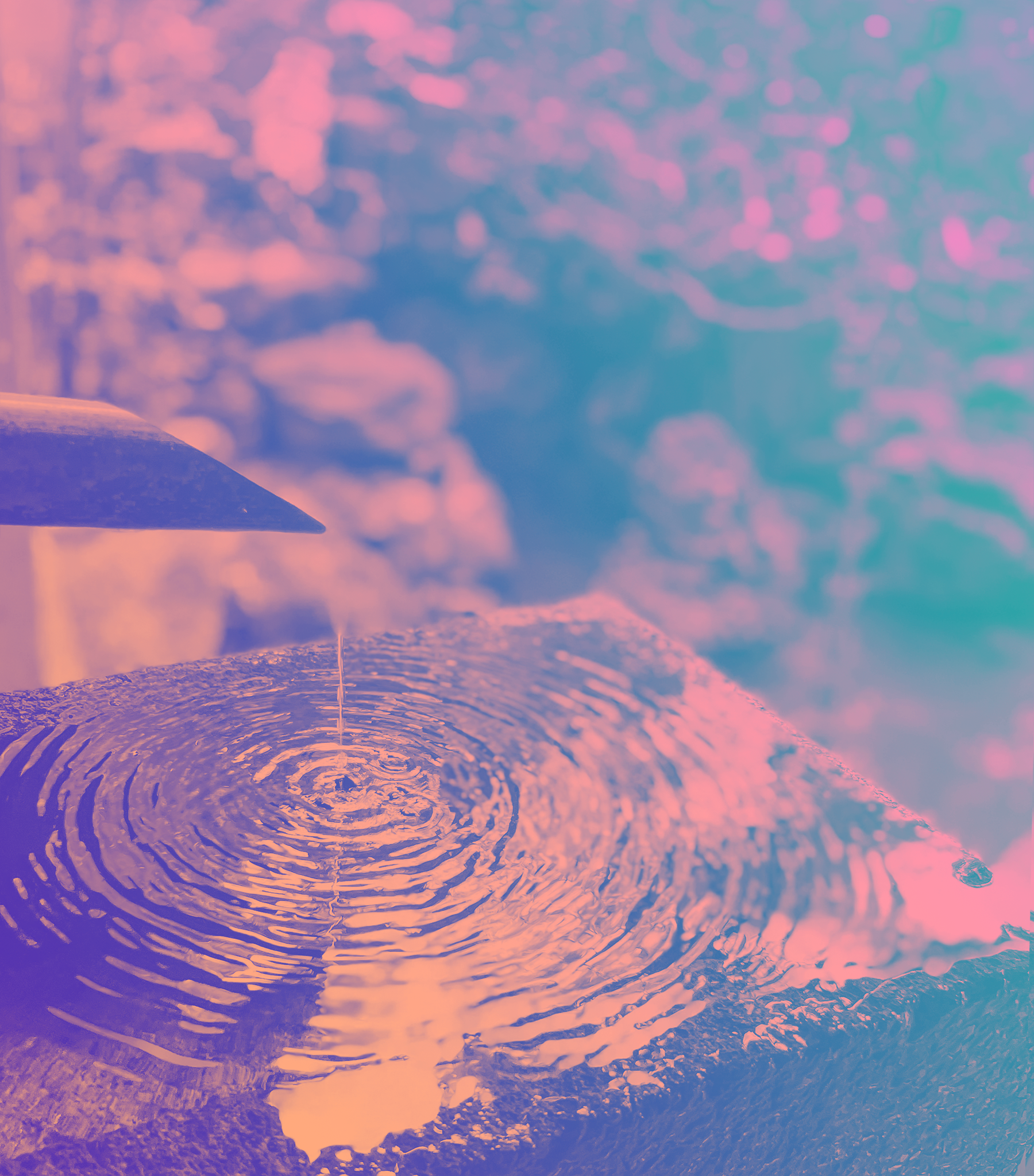 Embracing the New Normal