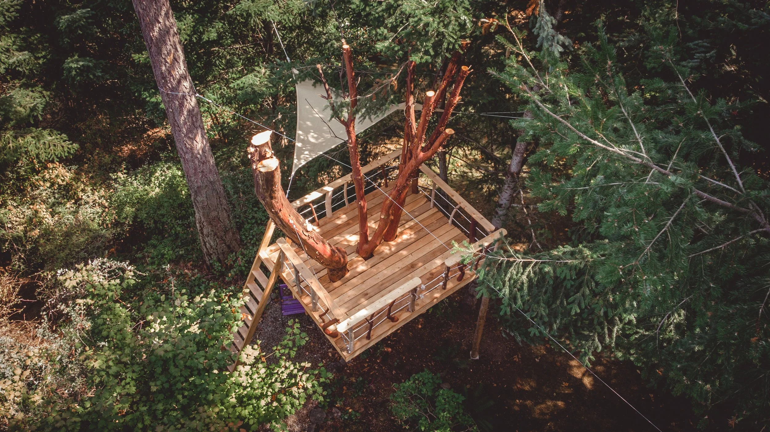 DJI_0282.jpg