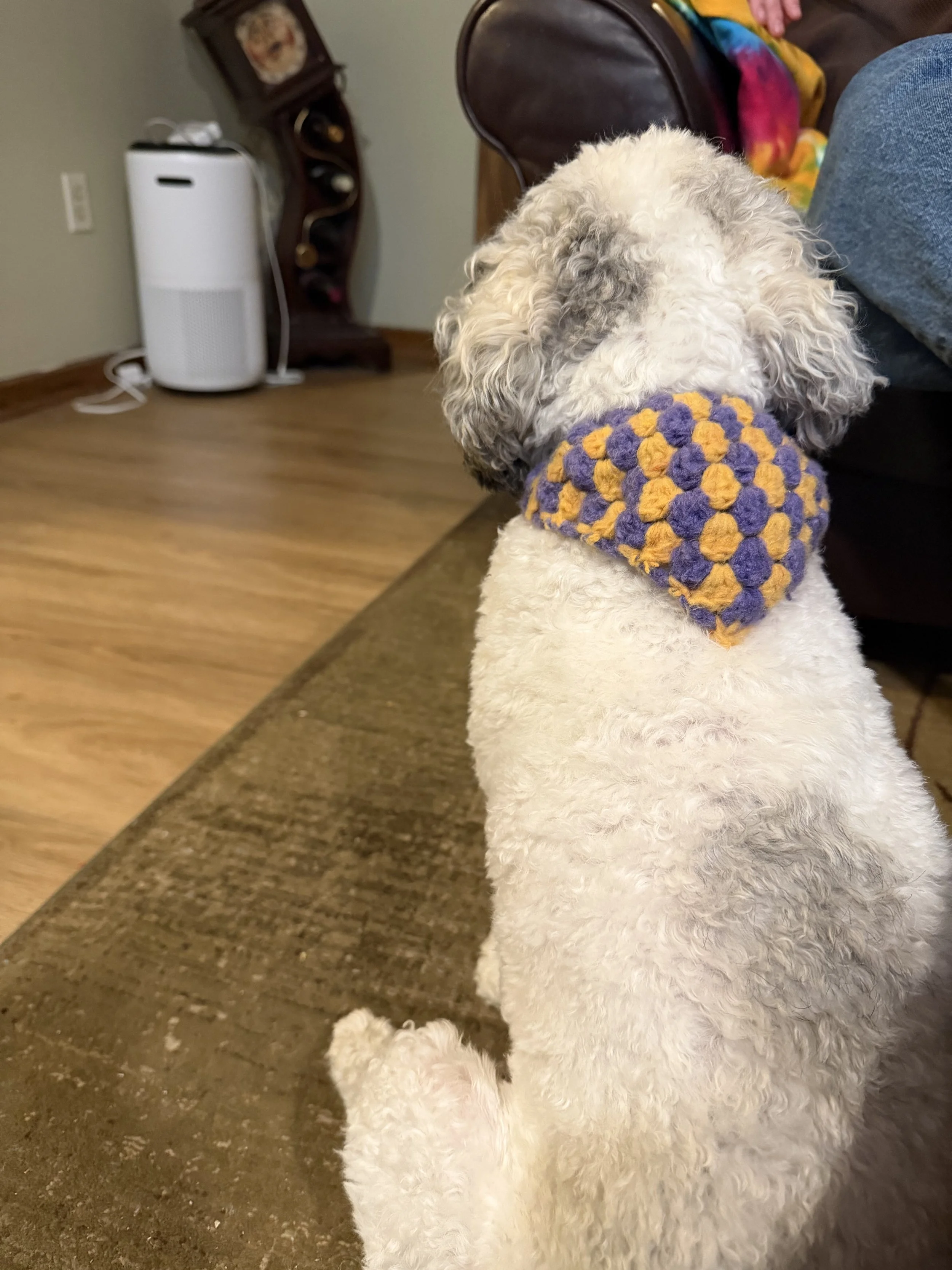 Dog bandana (skol)