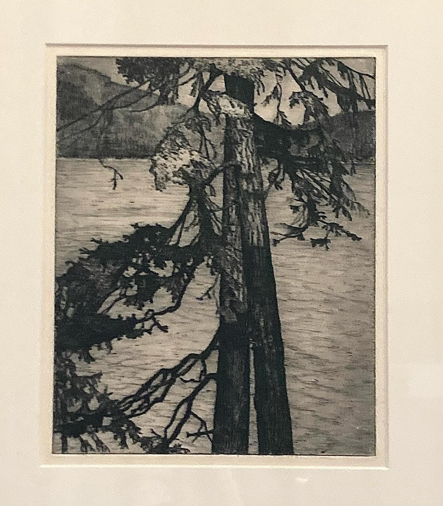 Helen&rsquo;s earliest etchings of trees reflect her developing skill and mastery of detail.  We have several of Helen&rsquo;s early works on display at the museum. We&rsquo;d love to have you visit the museum and see them up close. Info@theloggie.or