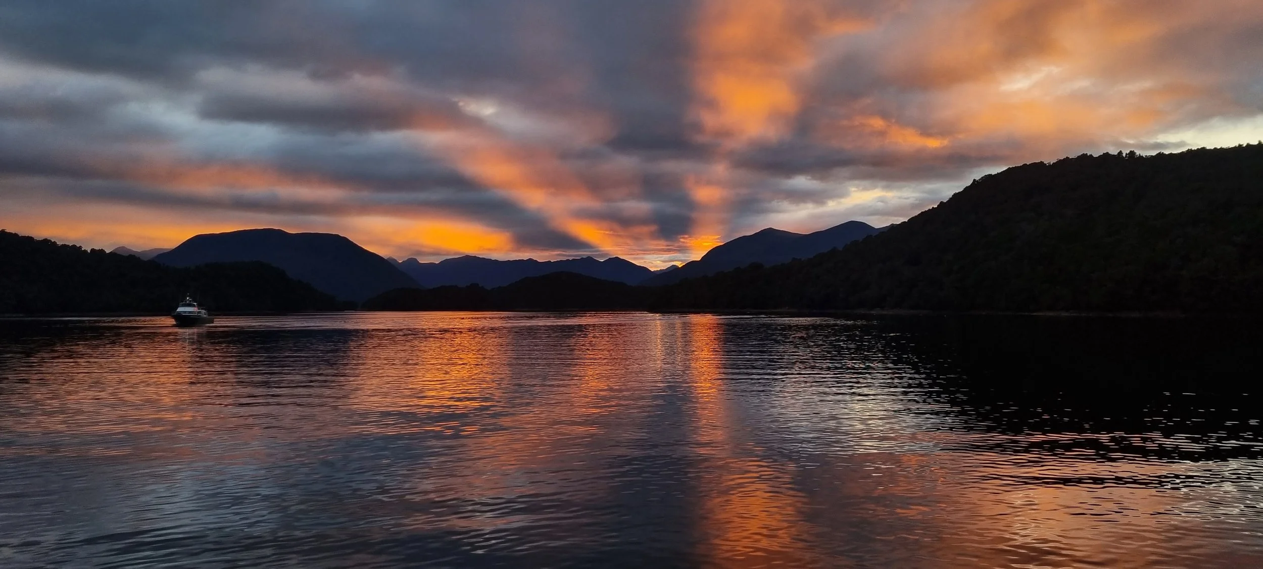 Cruising Fiordland see the wilderness, NZ night birds.