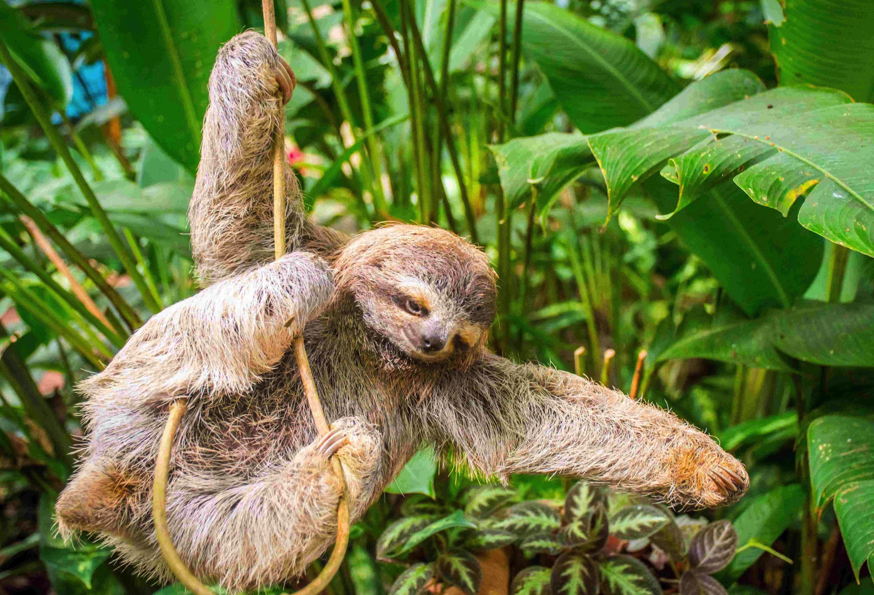 Screenshot 2025-11-29 at 2.28.52 PM.png