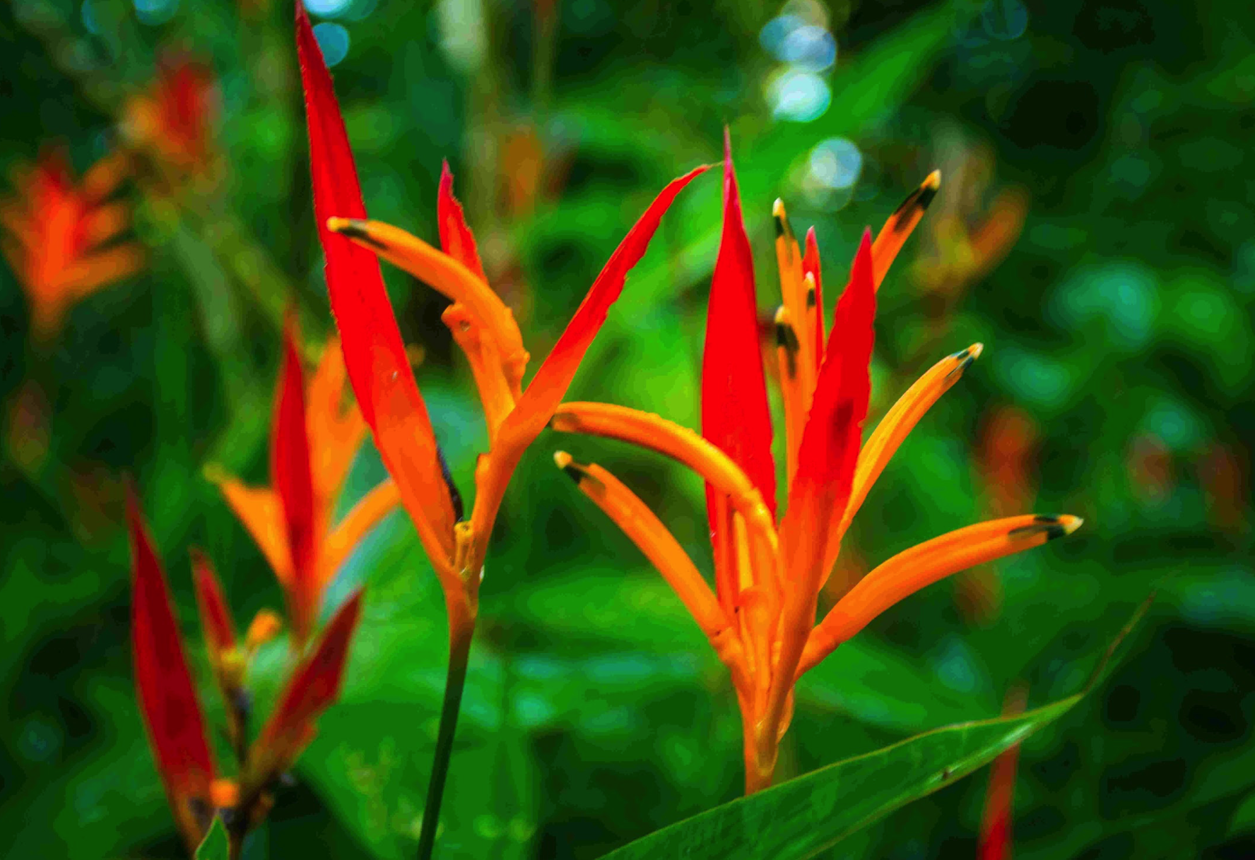 Screenshot 2025-11-29 at 2.27.45 PM.png