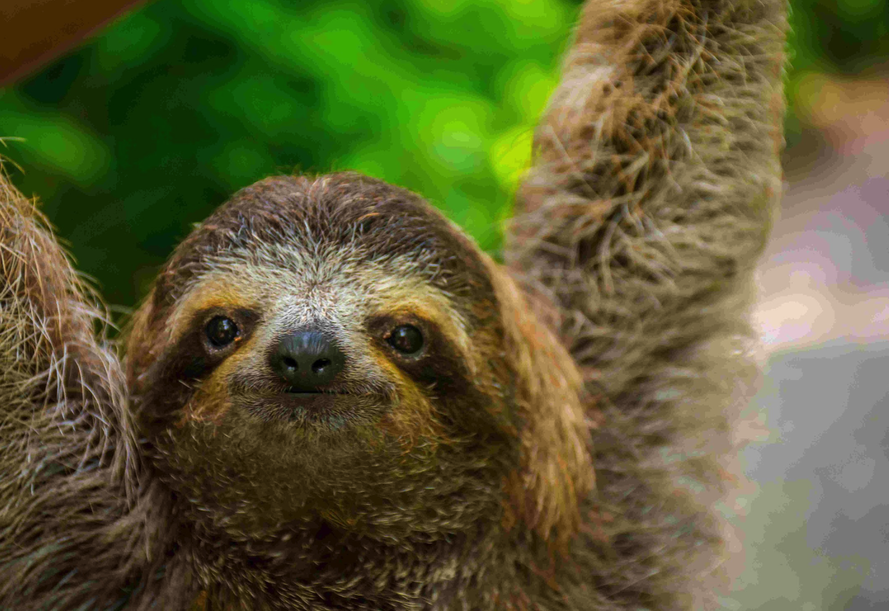 Screenshot 2025-11-29 at 2.29.00 PM.png