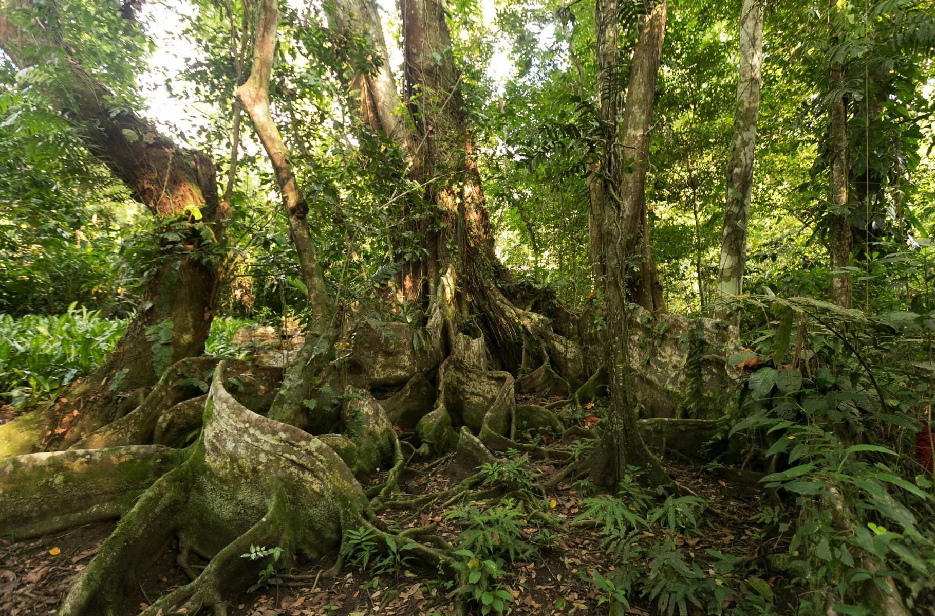 Screenshot 2025-11-29 at 2.26.39 PM.png