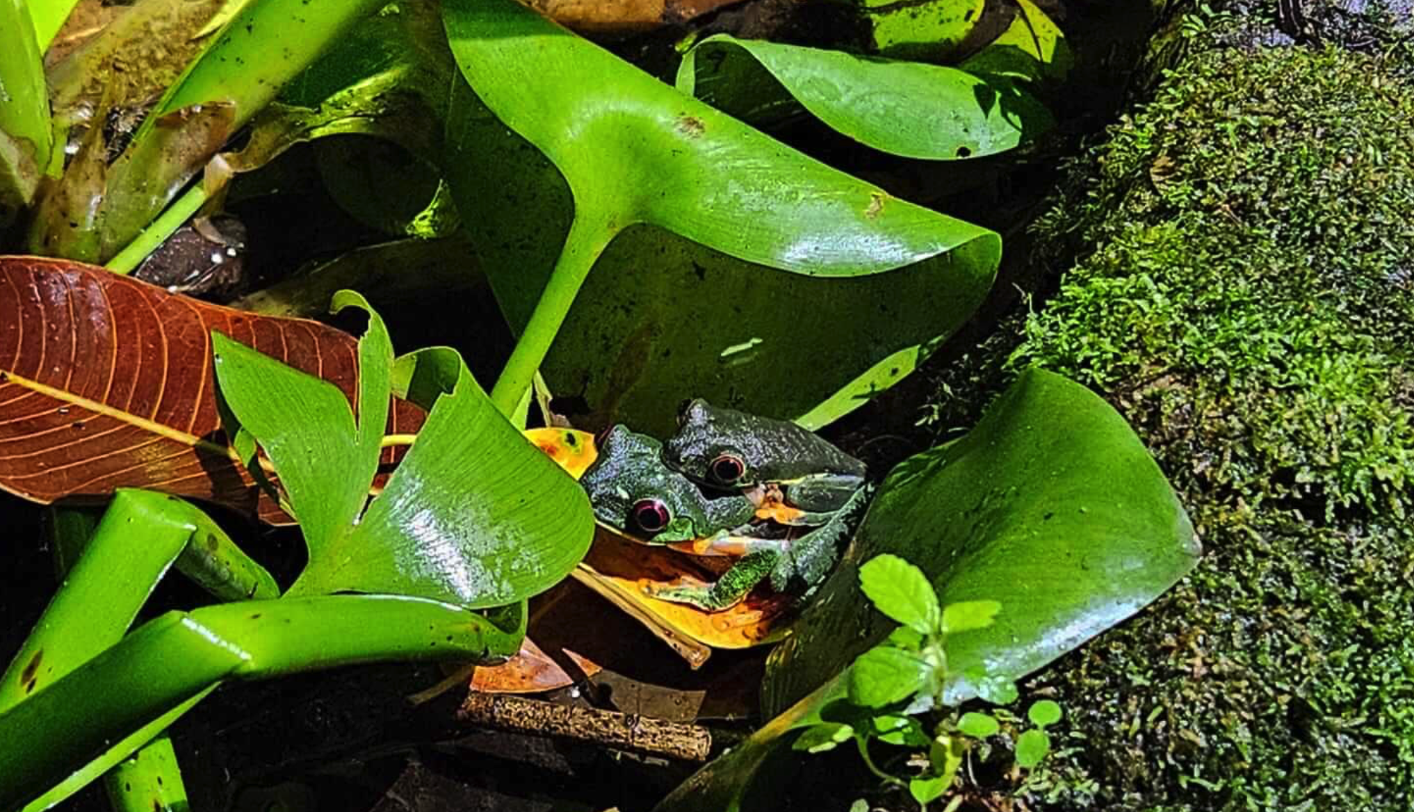 Screenshot 2025-11-29 at 2.29.09 PM.png