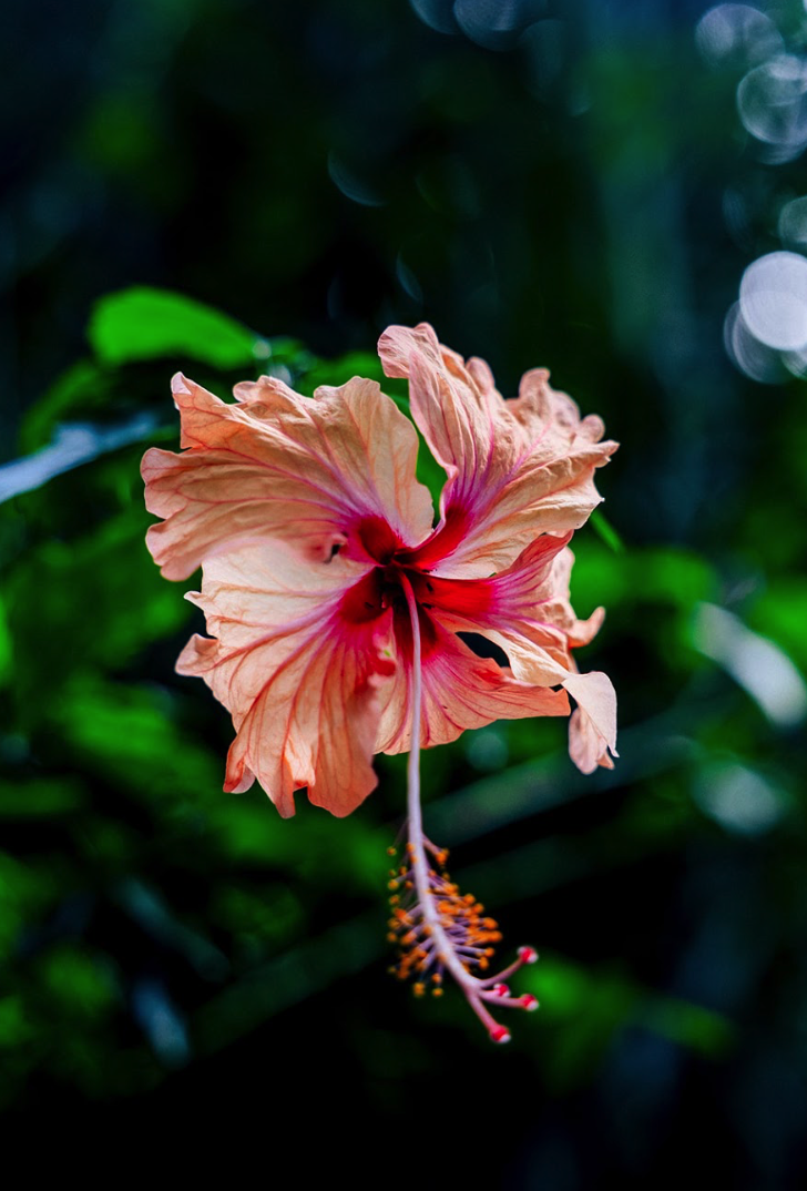 Screenshot 2025-11-29 at 2.29.26 PM.png