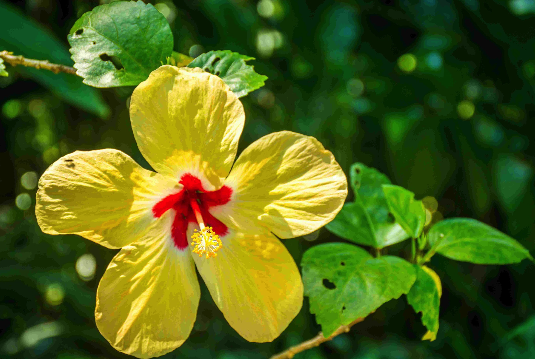 Screenshot 2025-11-29 at 2.27.23 PM.png