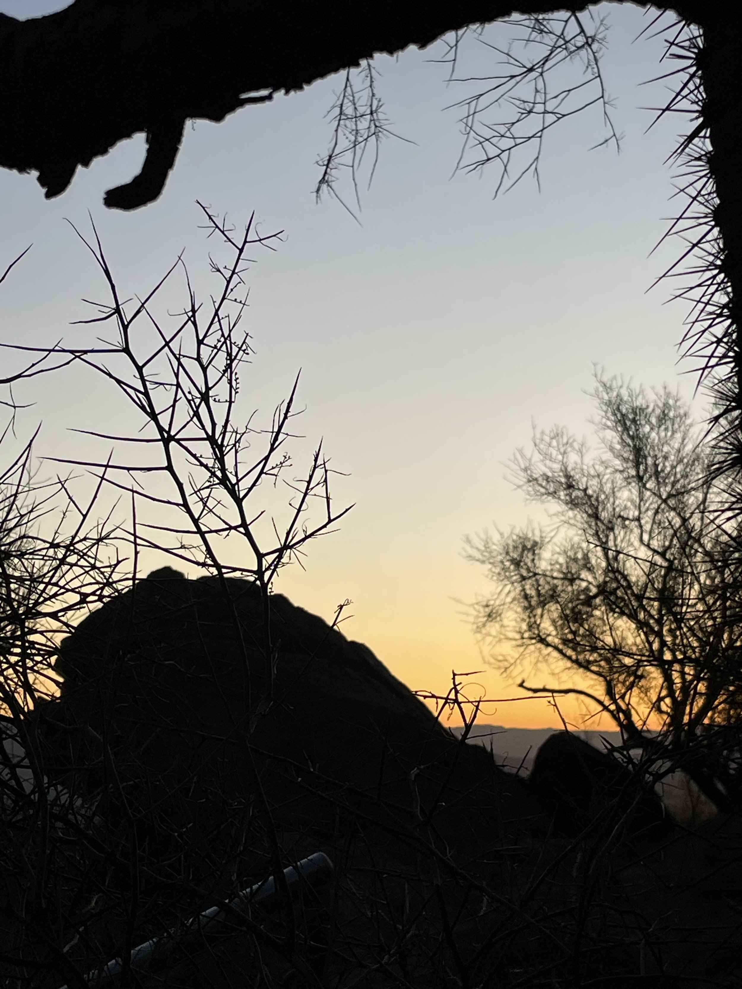 IMG_4936.jpeg