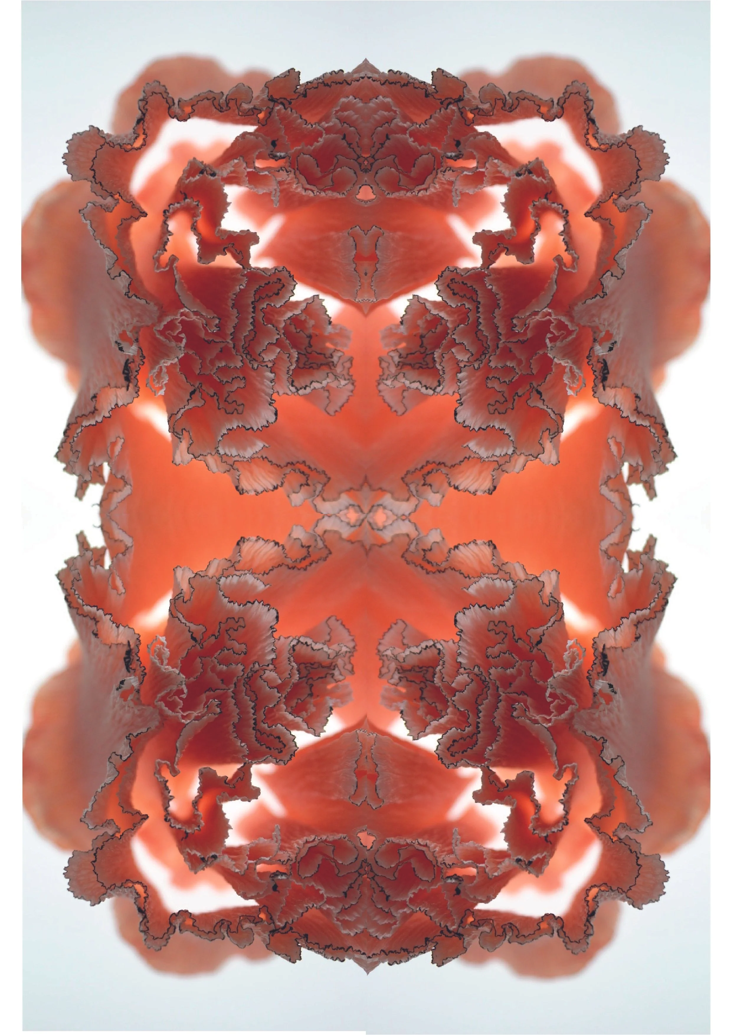 Studio Shroom Kaleidoscope-06.jpg