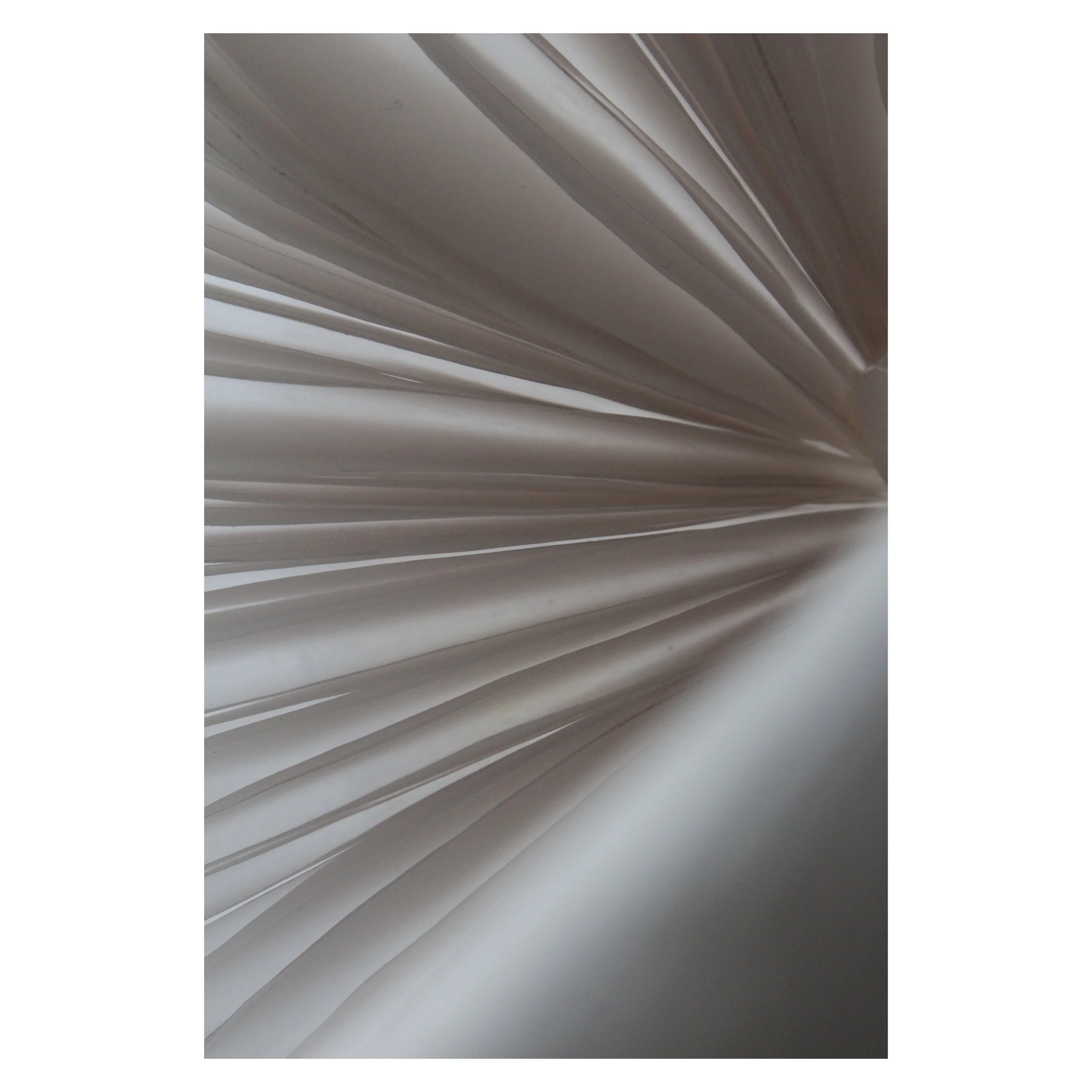 9E926D5F-2000-4C2B-BFDD-5D9158D69CE0 3.JPG