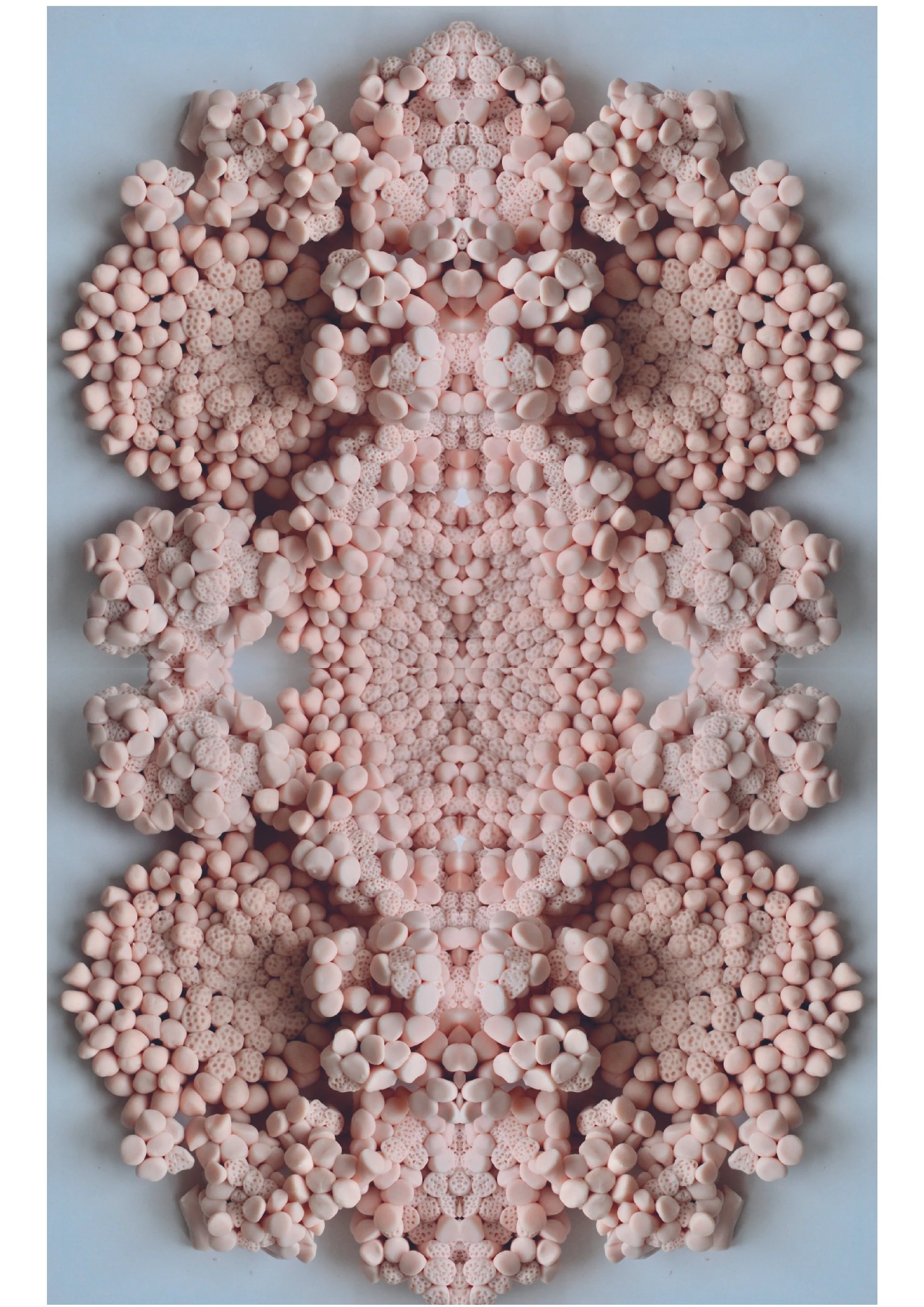 Studio Shroom Kaleidoscope-02.jpg