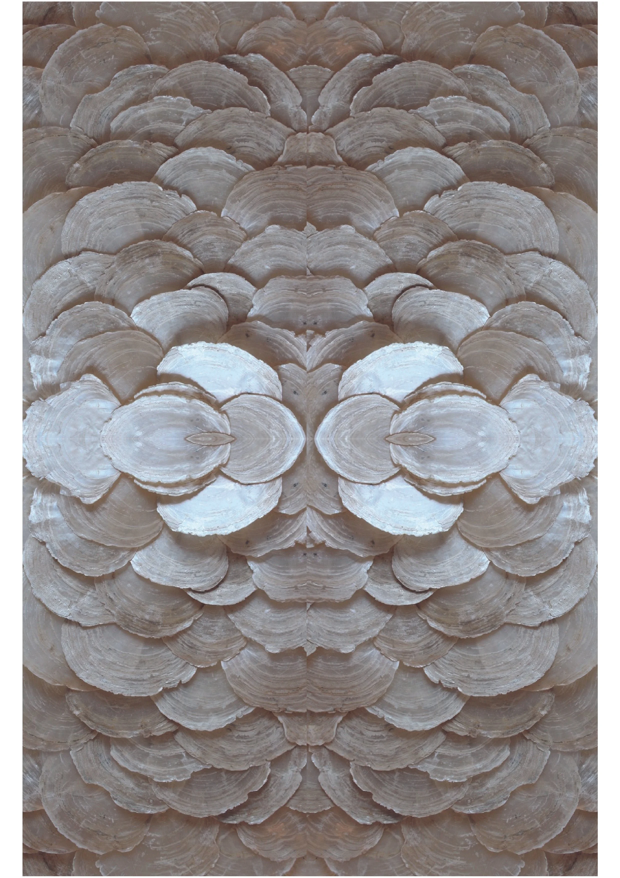 Studio Shroom Kaleidoscope-03.jpg