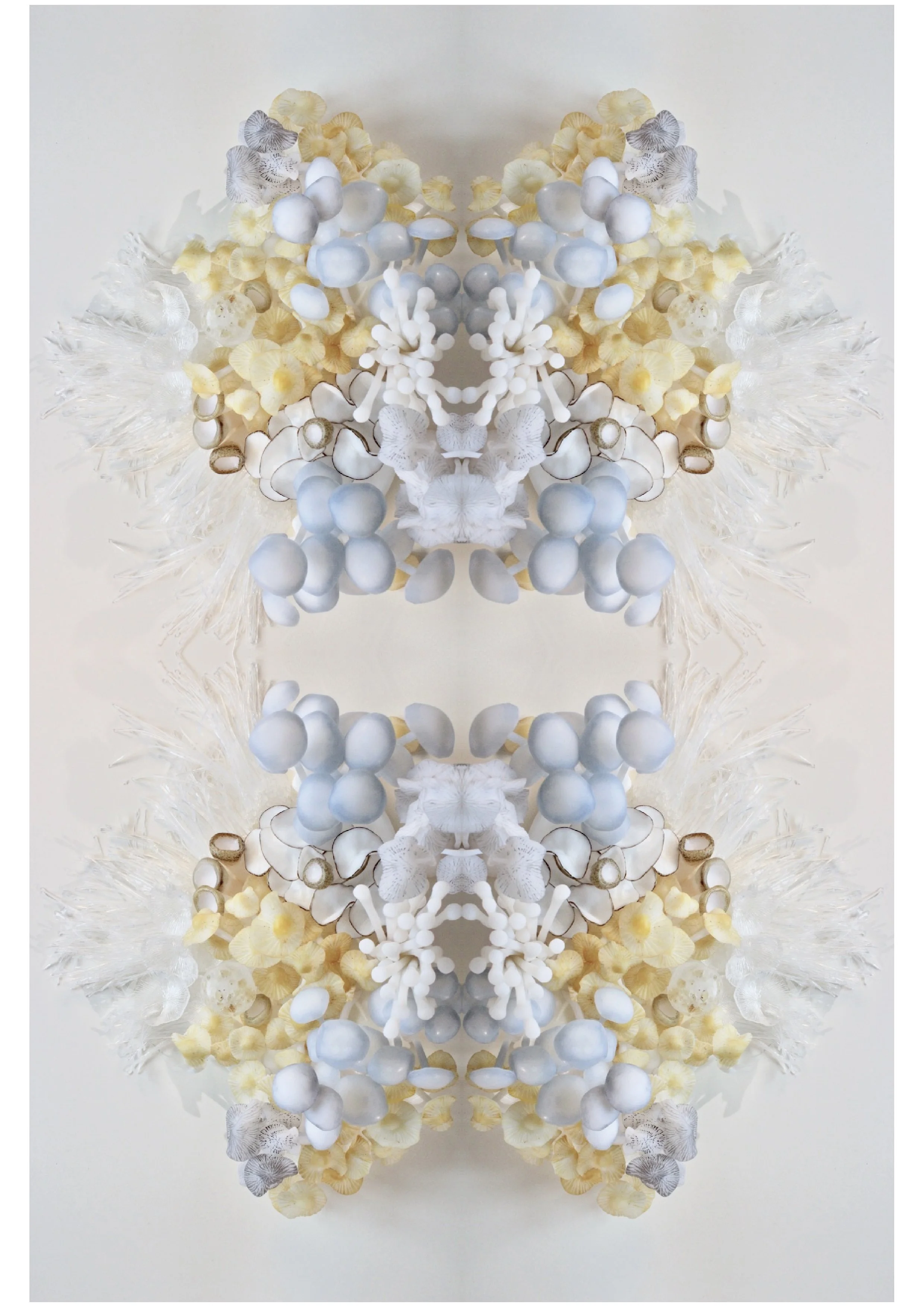 Studio Shroom psychedelia 1-01.jpg