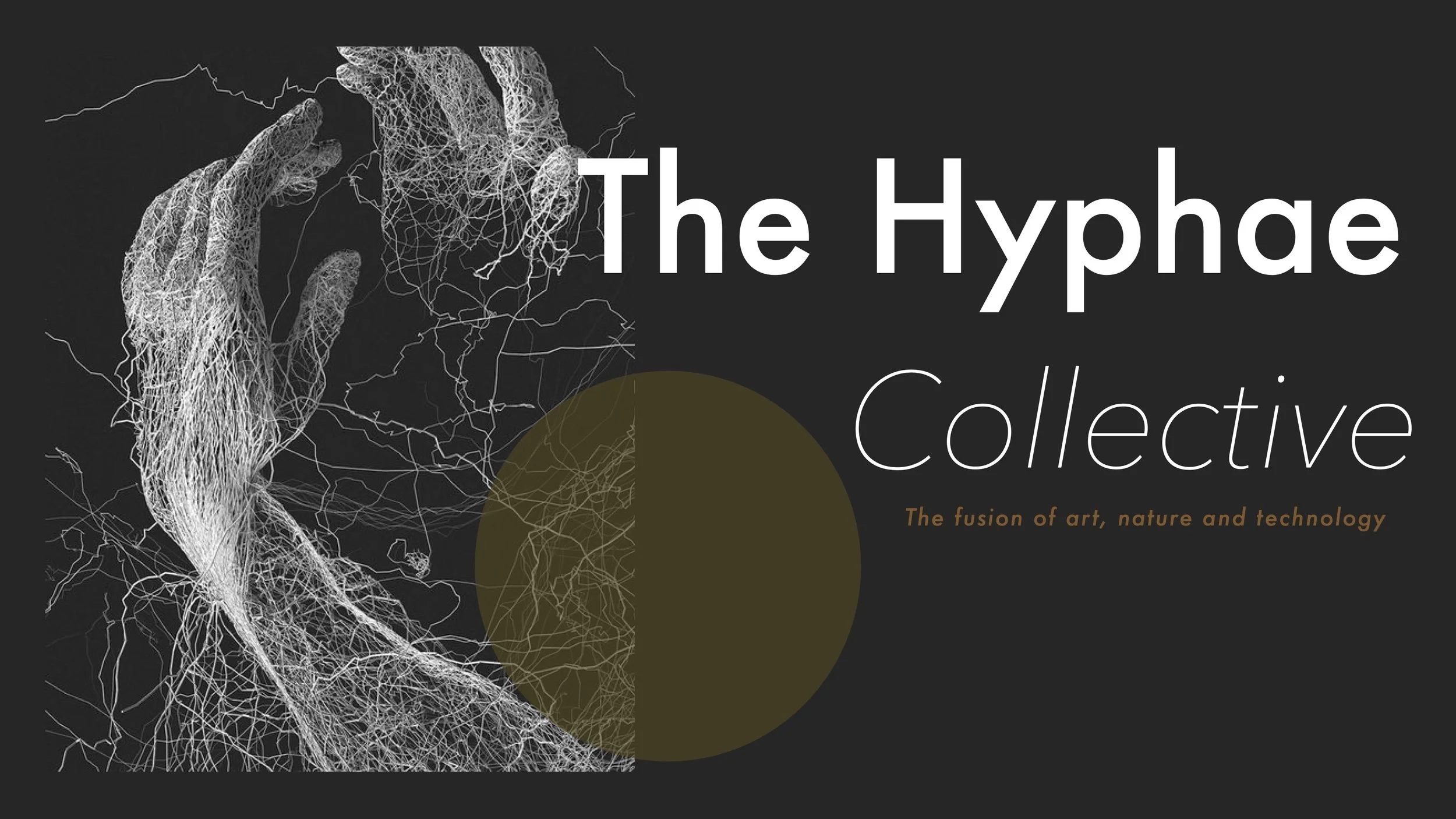 Hyphae Collective DD (1)1.jpg