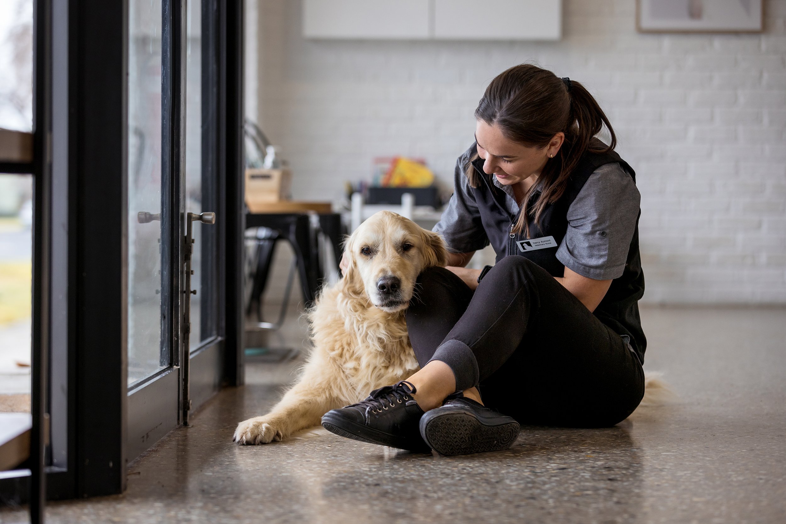 Townsend Veterinary Clinic Albury Wodonga
