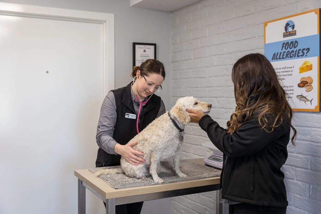 Our Clinic — Townsend Veterinary Clinic Albury Wodonga