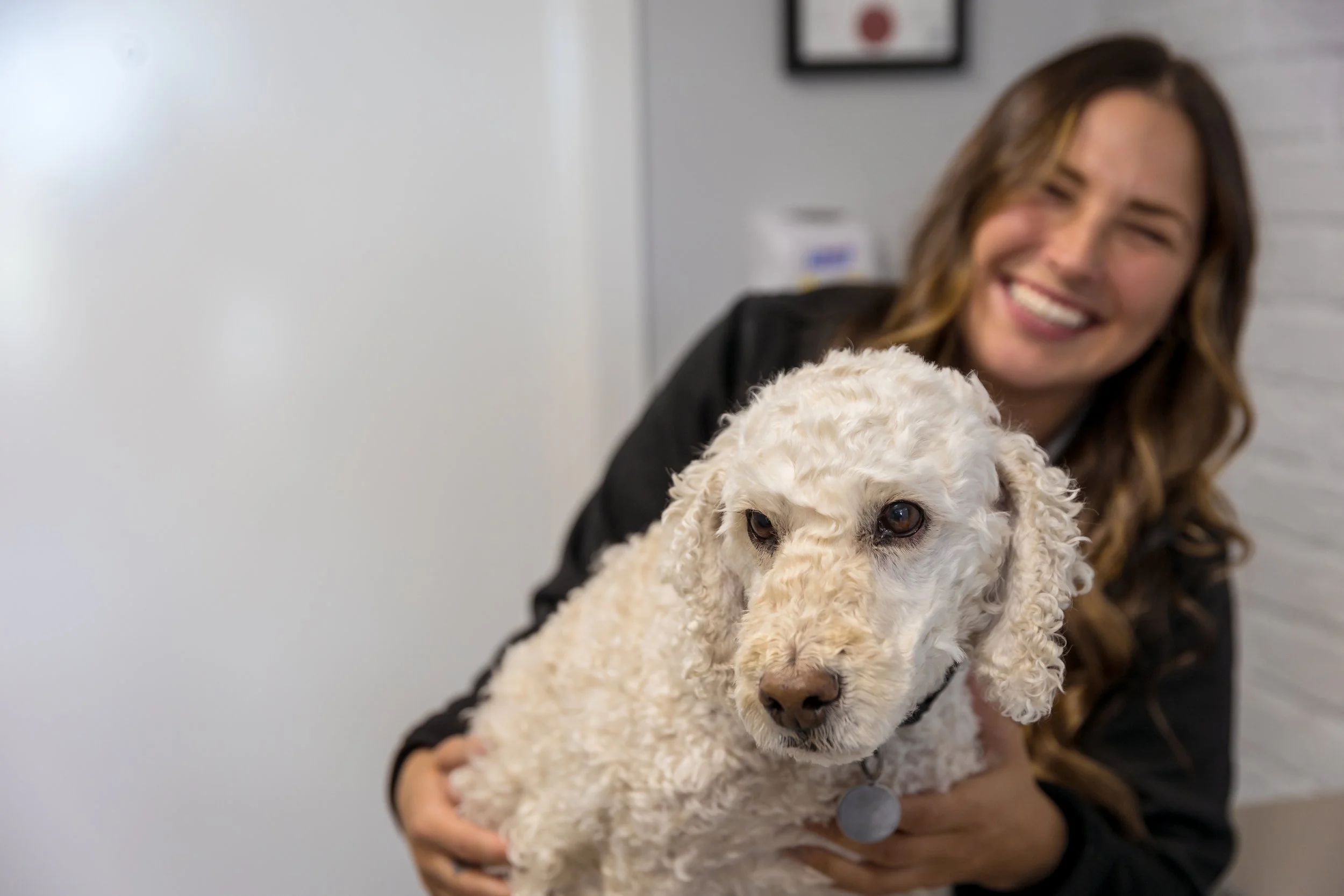 Townsend Veterinary Clinic Albury Wodonga