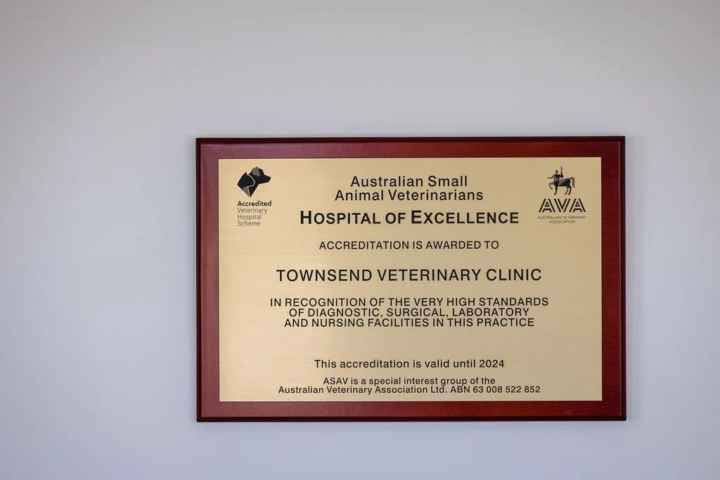 Our Clinic — Townsend Veterinary Clinic Albury Wodonga