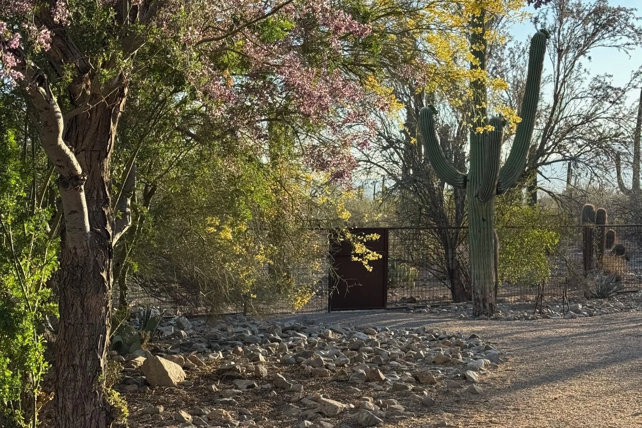 Reorient & Rise Women's Leadership Retreat