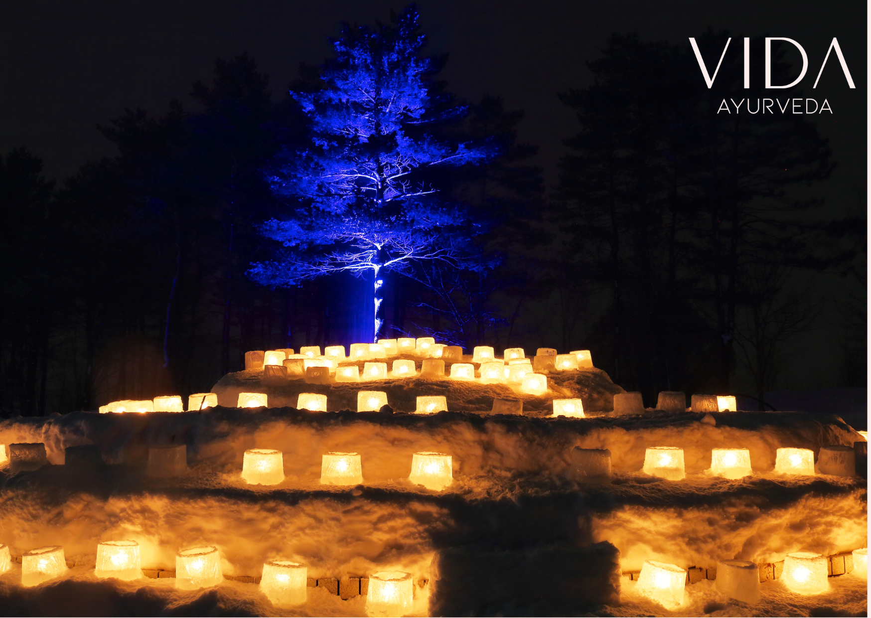 Winter Reflections, Manas Vijnana &amp; Exciting News from VIDA Ayurveda