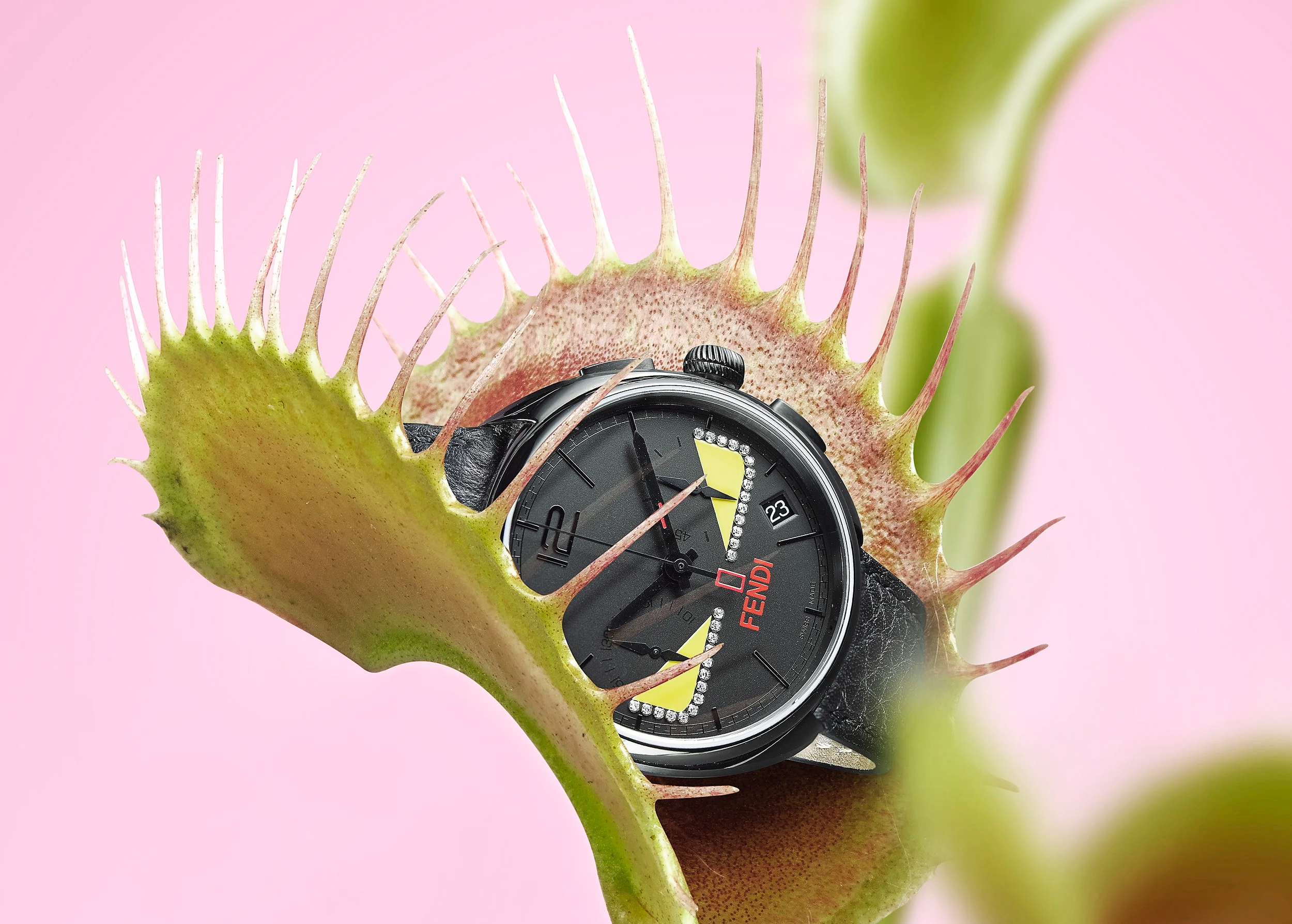 Art Direction | Fashion