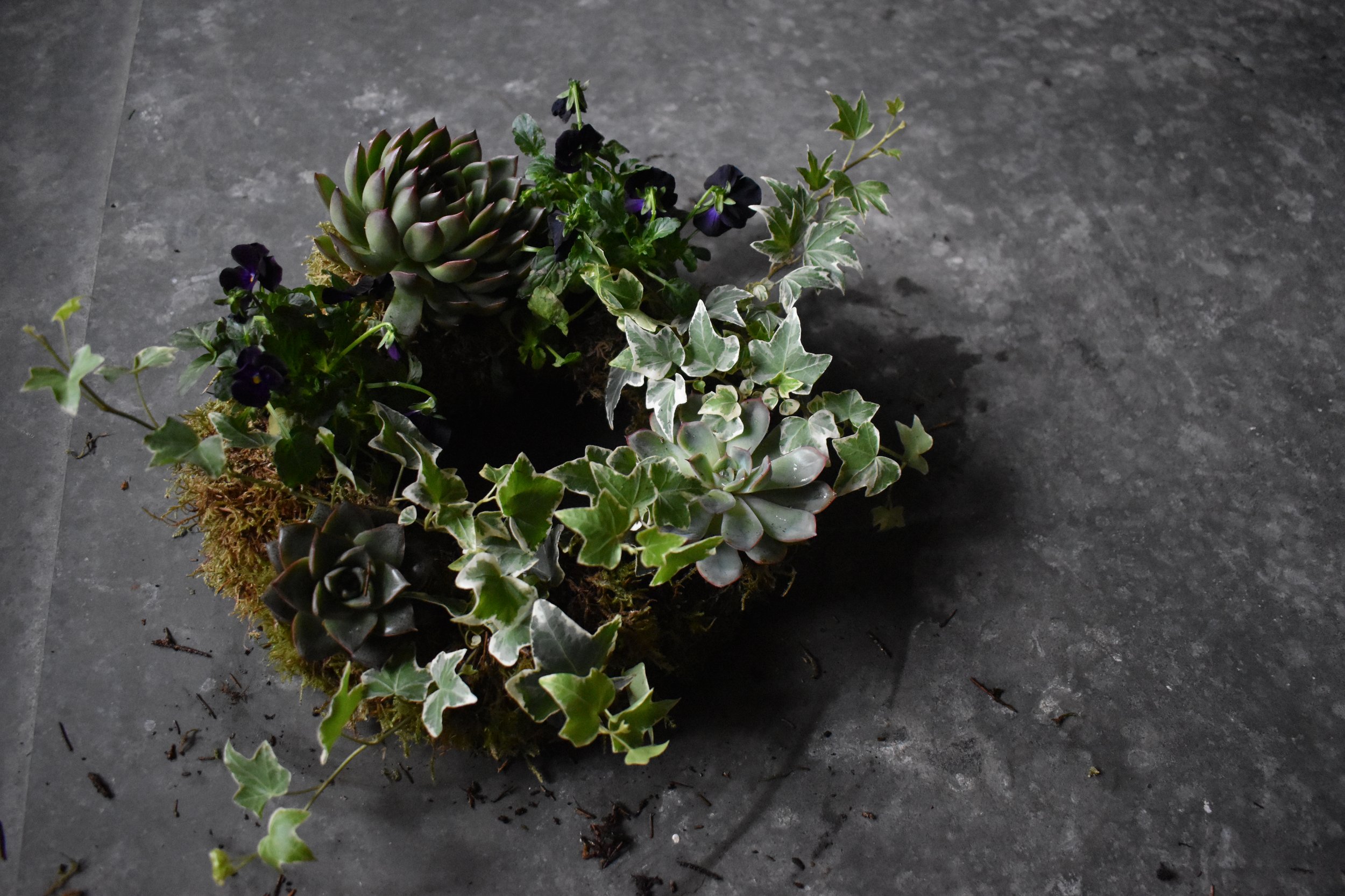 Living wreath 2.jpeg