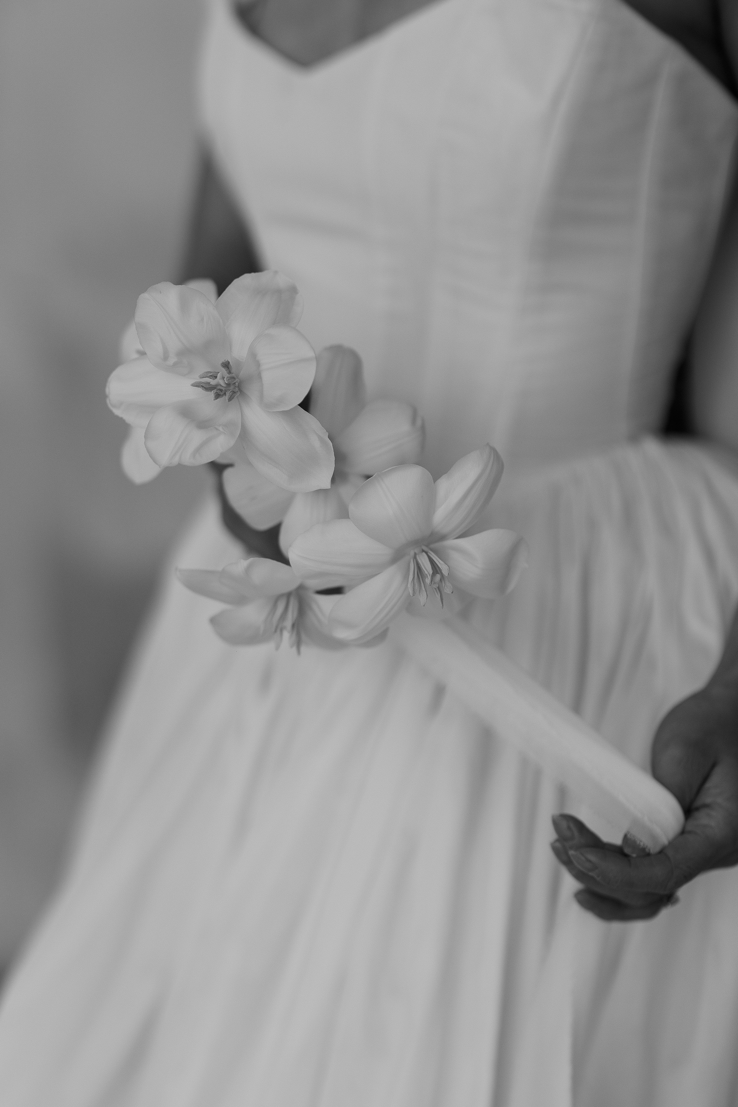 image2 (35).jpeg