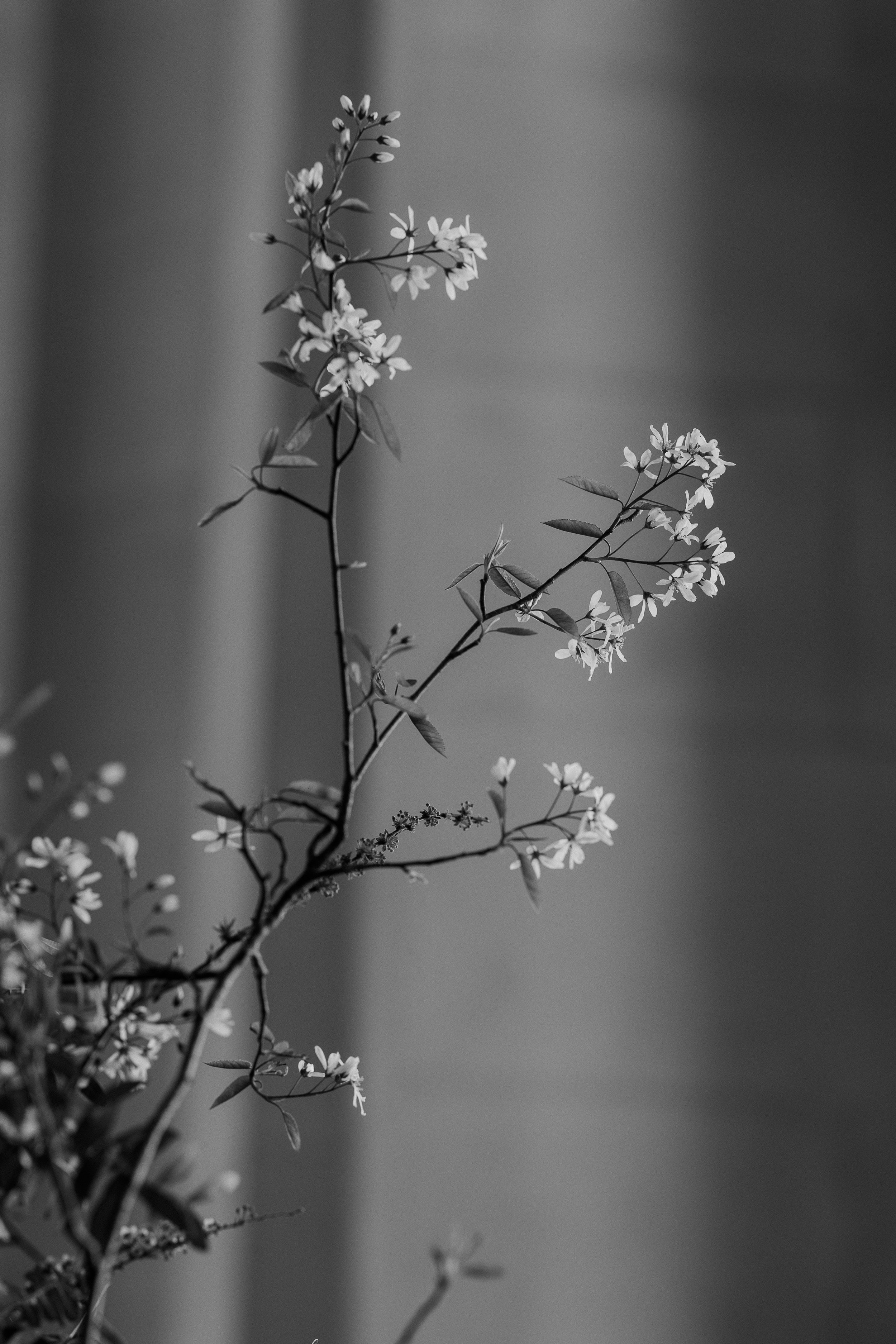 image0 (71).jpeg
