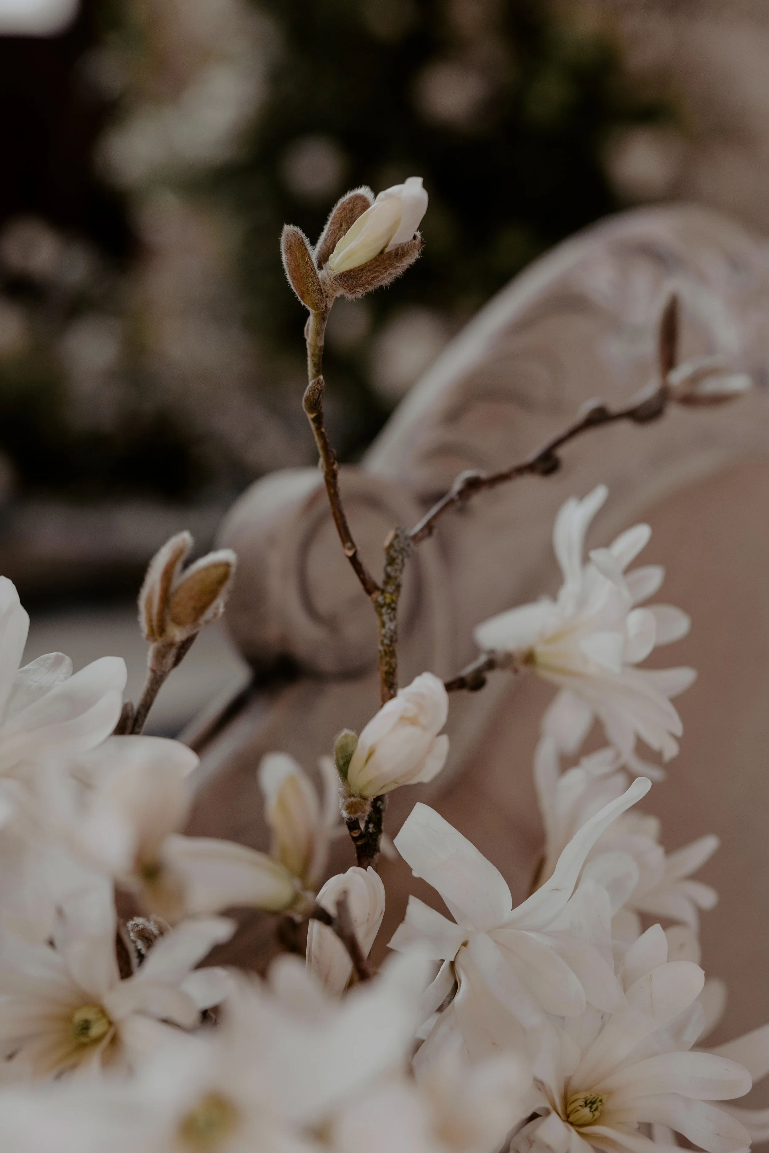 Modern and unique bridal bouquet made of white Magnolia