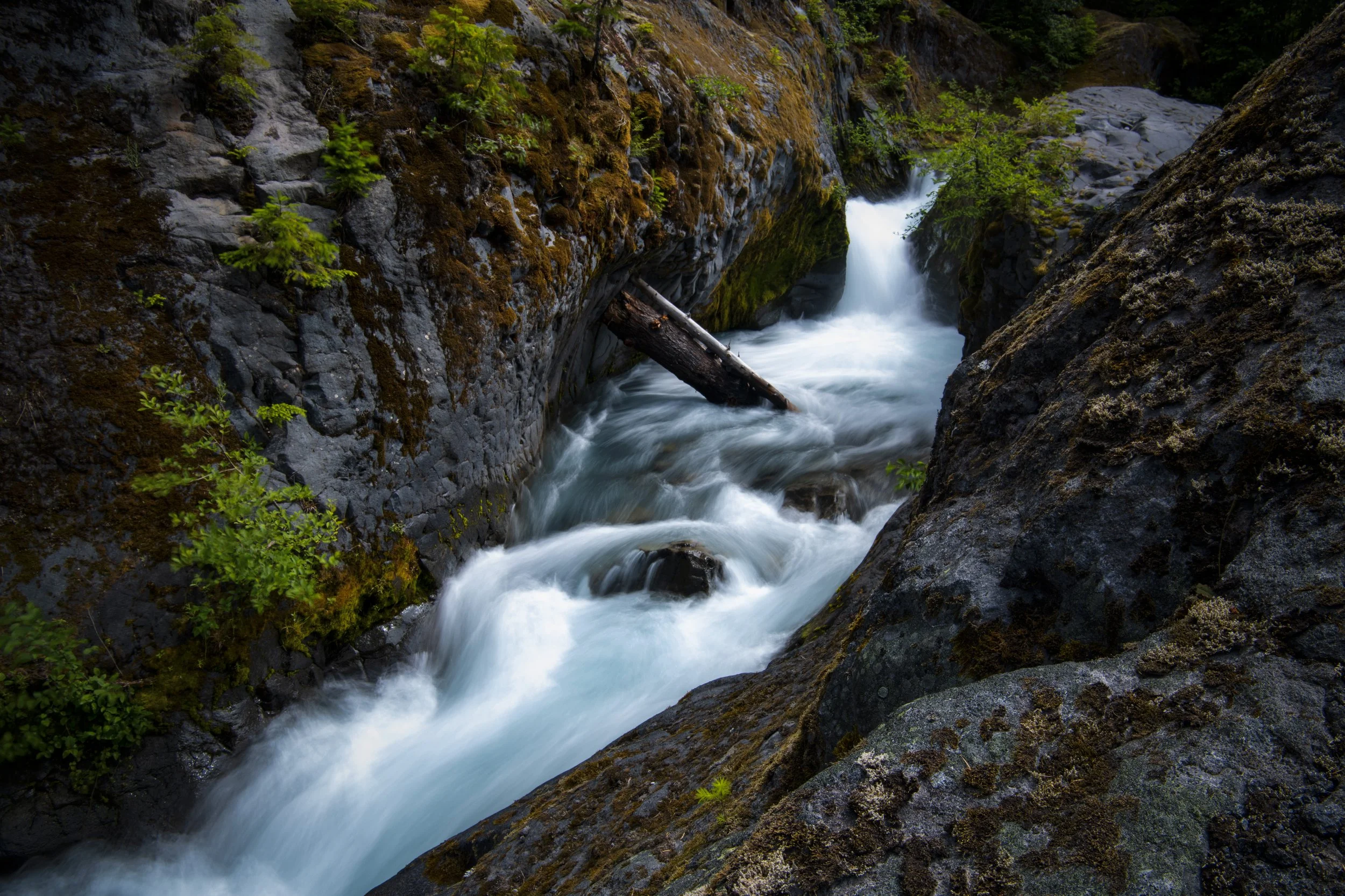 _DSC1434 - (EricACS_Pro edit) - (layer stack, vignette, small).jpg