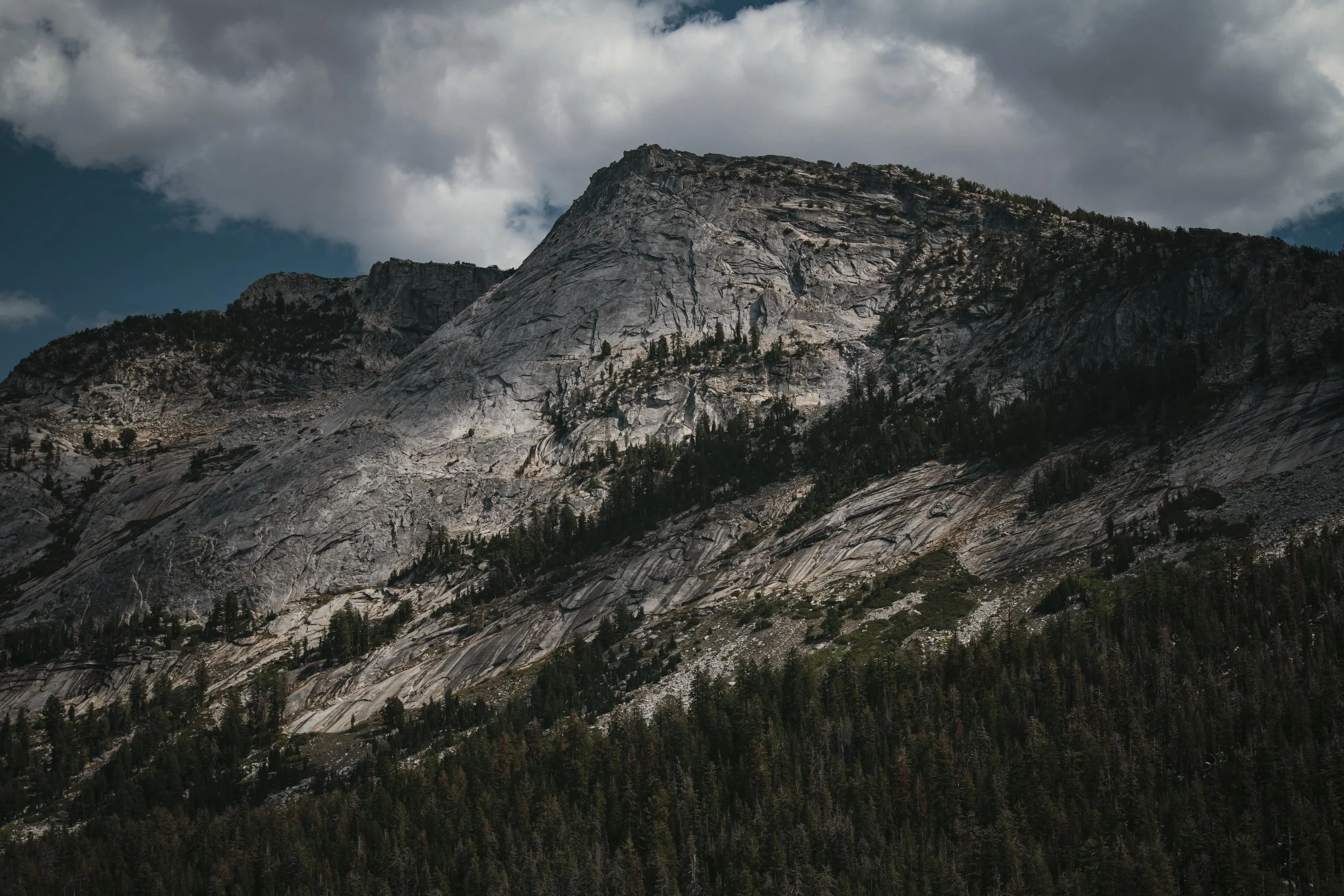 _DSC2489 - (EricACS_Pro edit) - (layer stack, vignette, small) copy.jpg