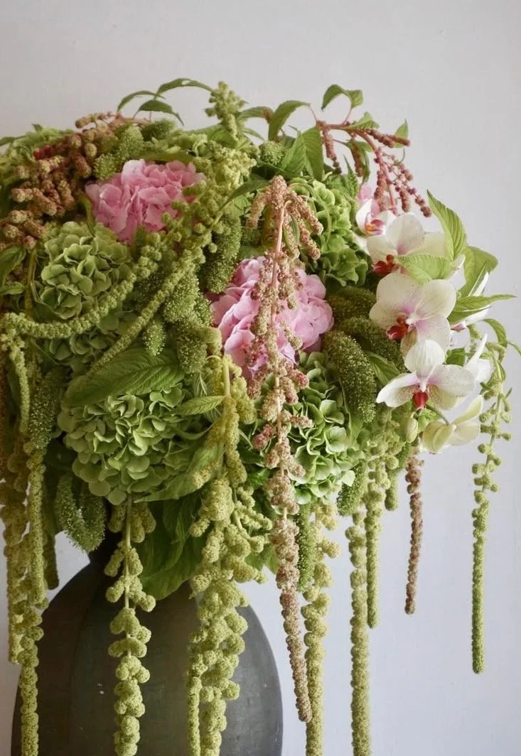 Capture d’écran . 2026-01-17 à 23.01.45.jpeg