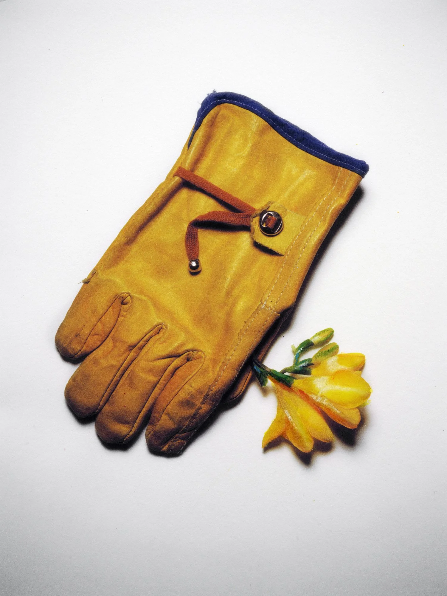 GANT_FLOWER_SCAN 2.jpg