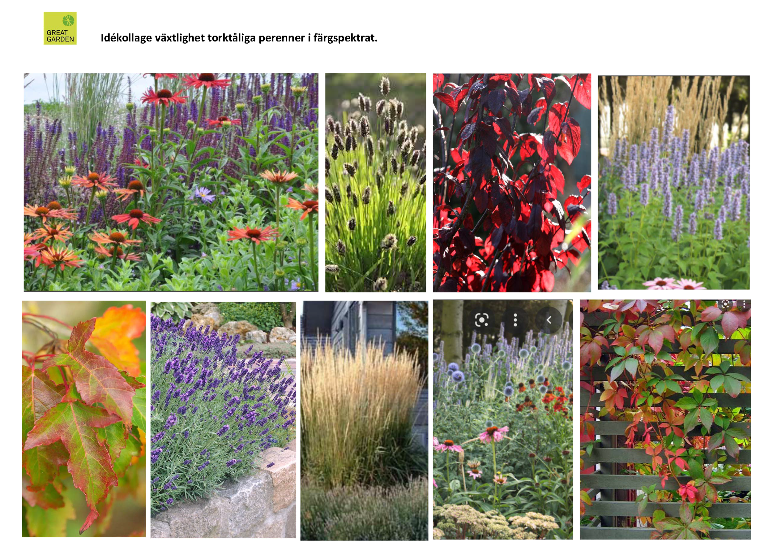 greatgarden-hjallo-växter.png