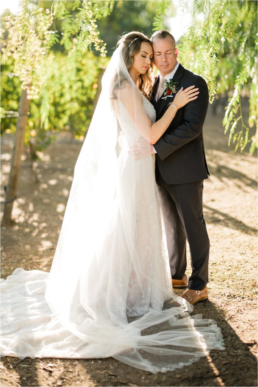 Epona Estate bride and groom portraits in vineyard