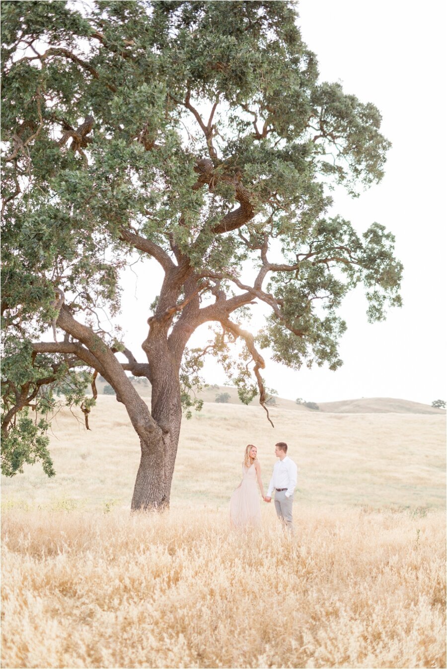 Oak tree and golden field engagement session