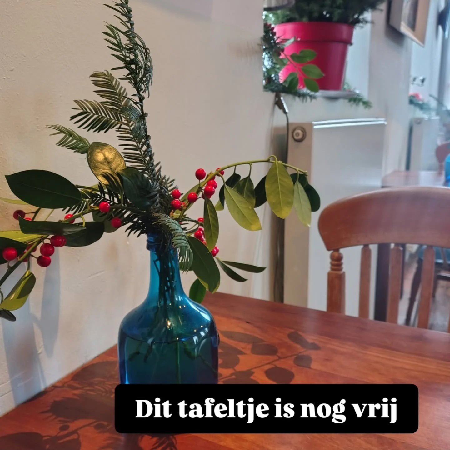Door een afzegging is dit tafeltje voor twee nog vrij!! Wie o wie schuift vanavond bij ons aan voor ons fantastische vegetarisch kerstdiner bij @bertje.jens #pieterburen #pieterpad #ziltepad @botanischetuin.domiestoen