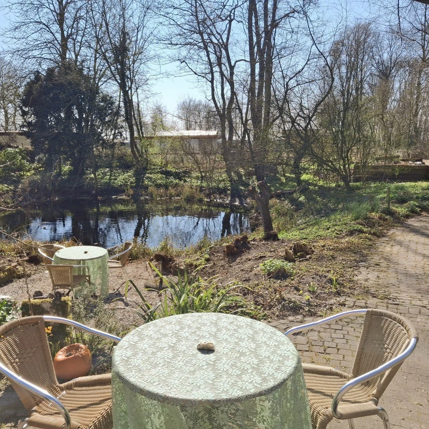 Het terras is open. Lekker beschut in de zon. Verse taart, lenterige viooltjes, leuke hangende jasmijn, hartige lunchgerechten en kom meer ontdekken. Vandaag en morgen open van 12 tot 17 uur. Naast @botanischetuin.domiestoen dichtbij @stoetenainvoud 