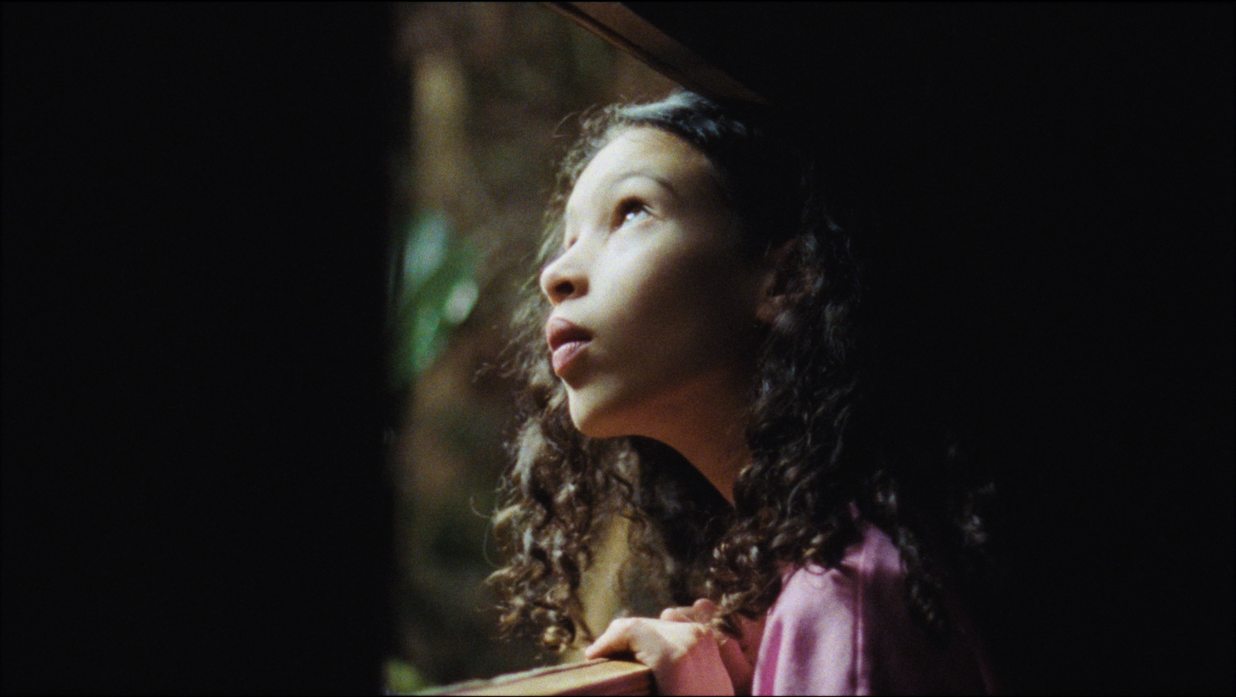 where life comes to life