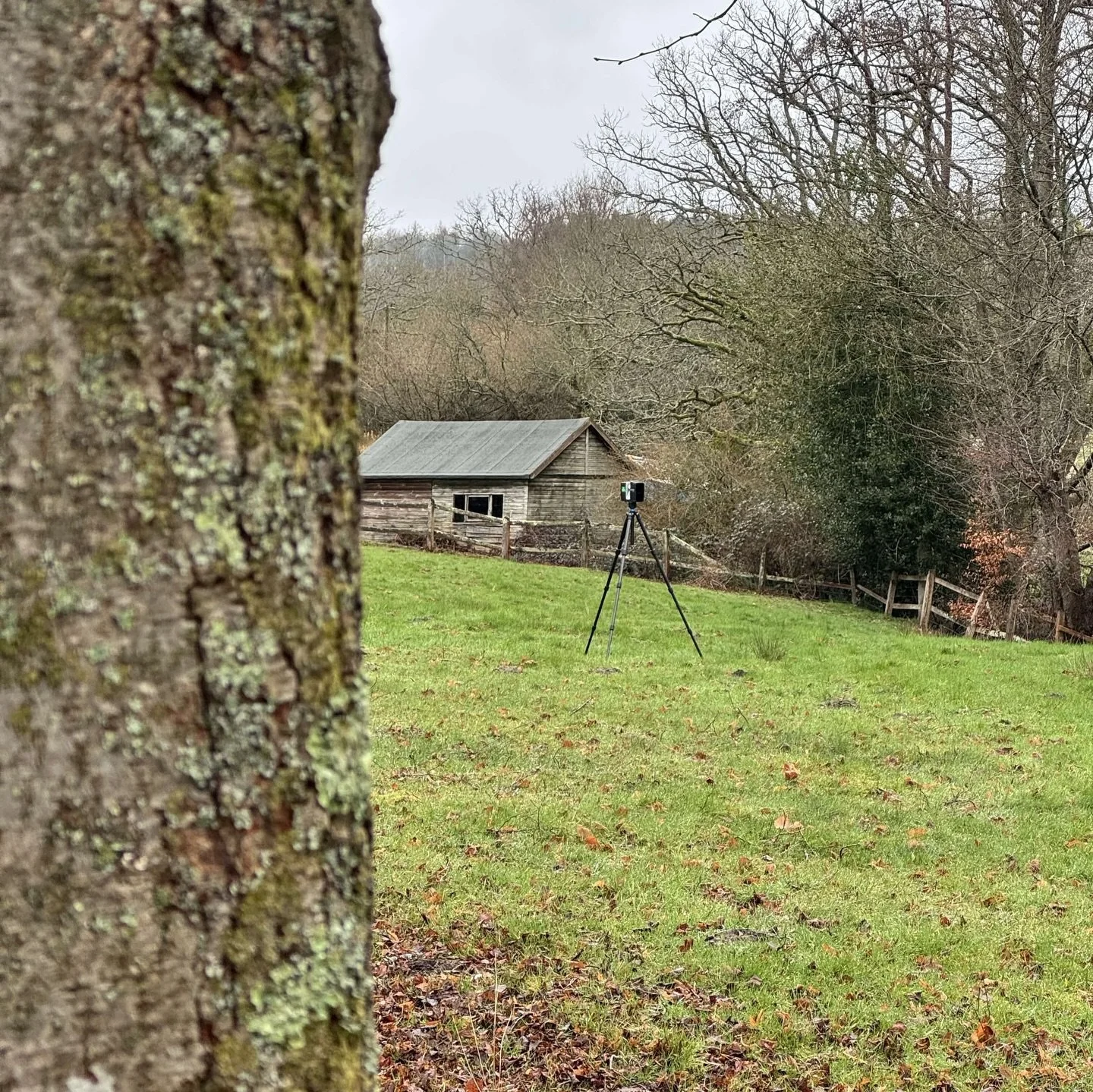 Some highlights from a recent survey in Sussex 😎