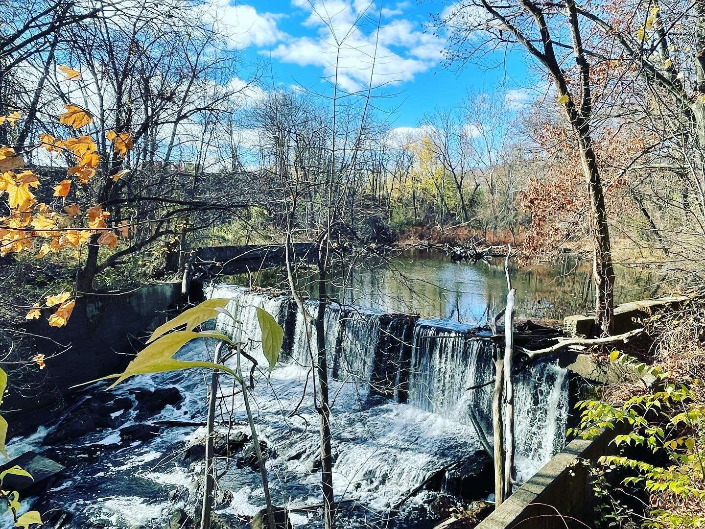 #worldwetlandsday #dams across the #Quassaickcreek create artificial wetlands but over a long period of time these become a part of the landscape. #johnstreetdam #newburghny is slated for #damremoval this year, a new wetland configuration will emerge